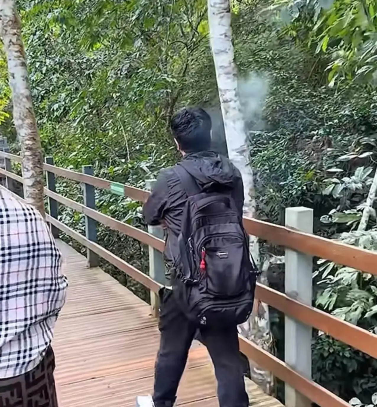 惊现恶劣一幕一名游客为让妻子与树上的国家一级保护动物懒猴合影竟