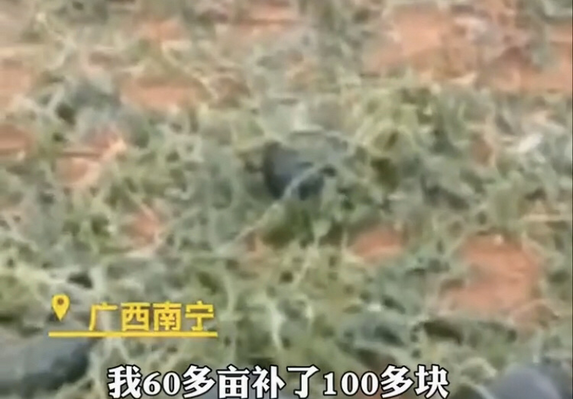 南寧受災瓜田每畝補貼2.79元(南寧受災瓜田每畝補貼279元是什么)