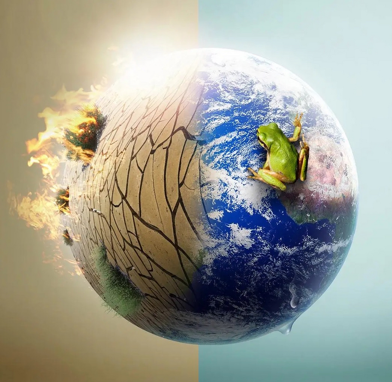 面料也要配合场合,考量身份啊!