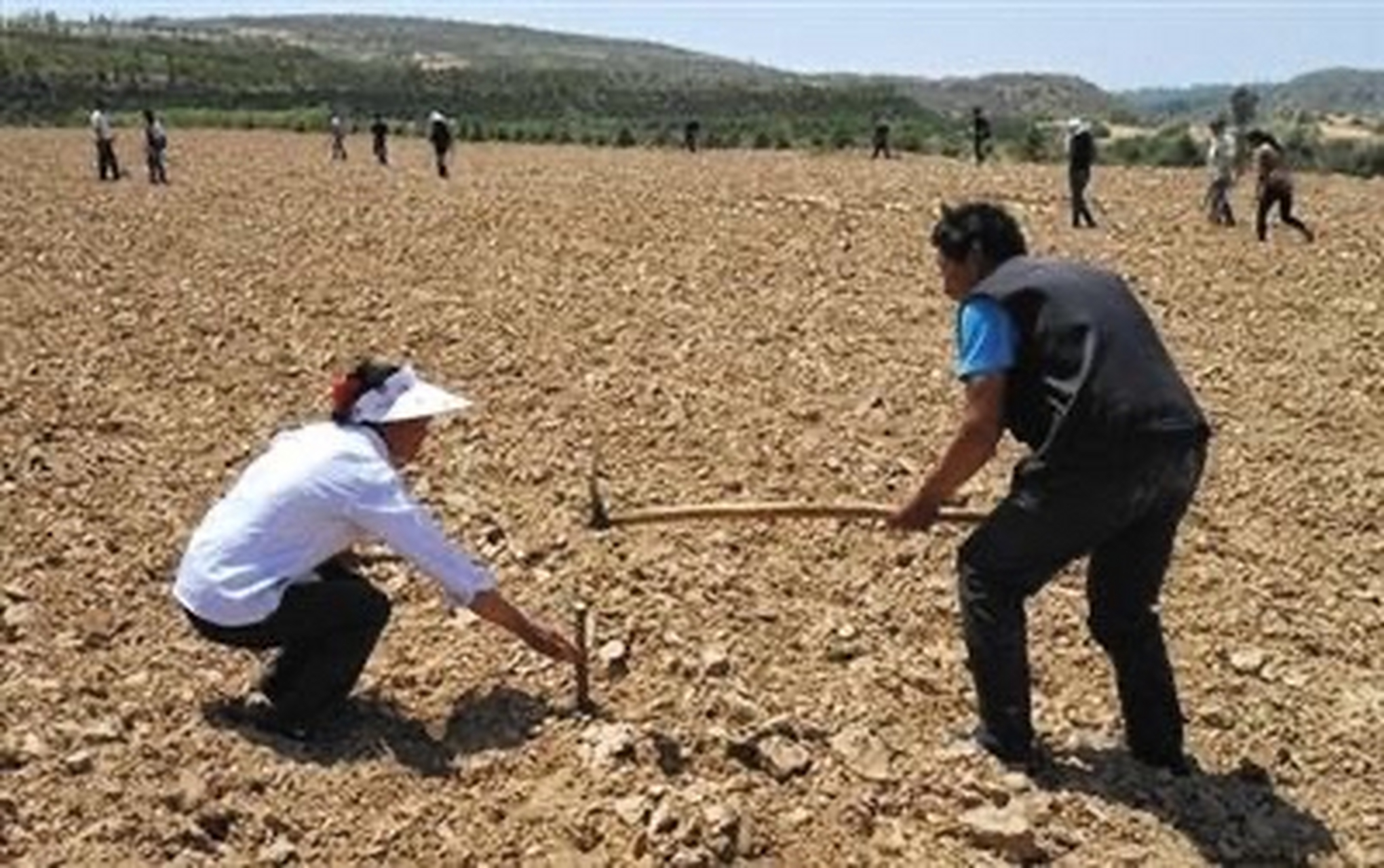 彭祖百忌,"戊不受田,田主不祥",这句话的意思是说:每逢戊日,就不能