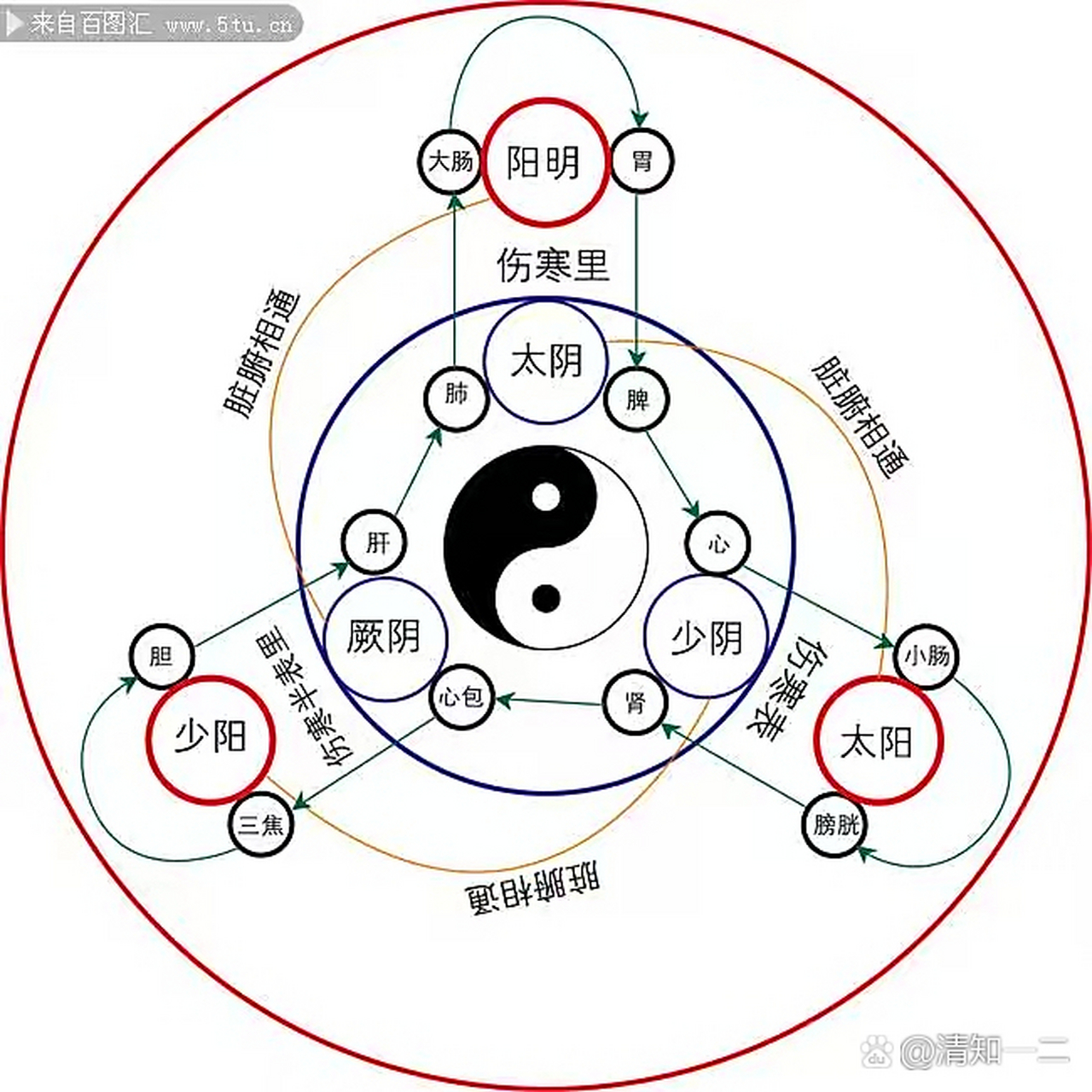 这两个图太重要了,天干地支与十二经脉关系的重要认知.