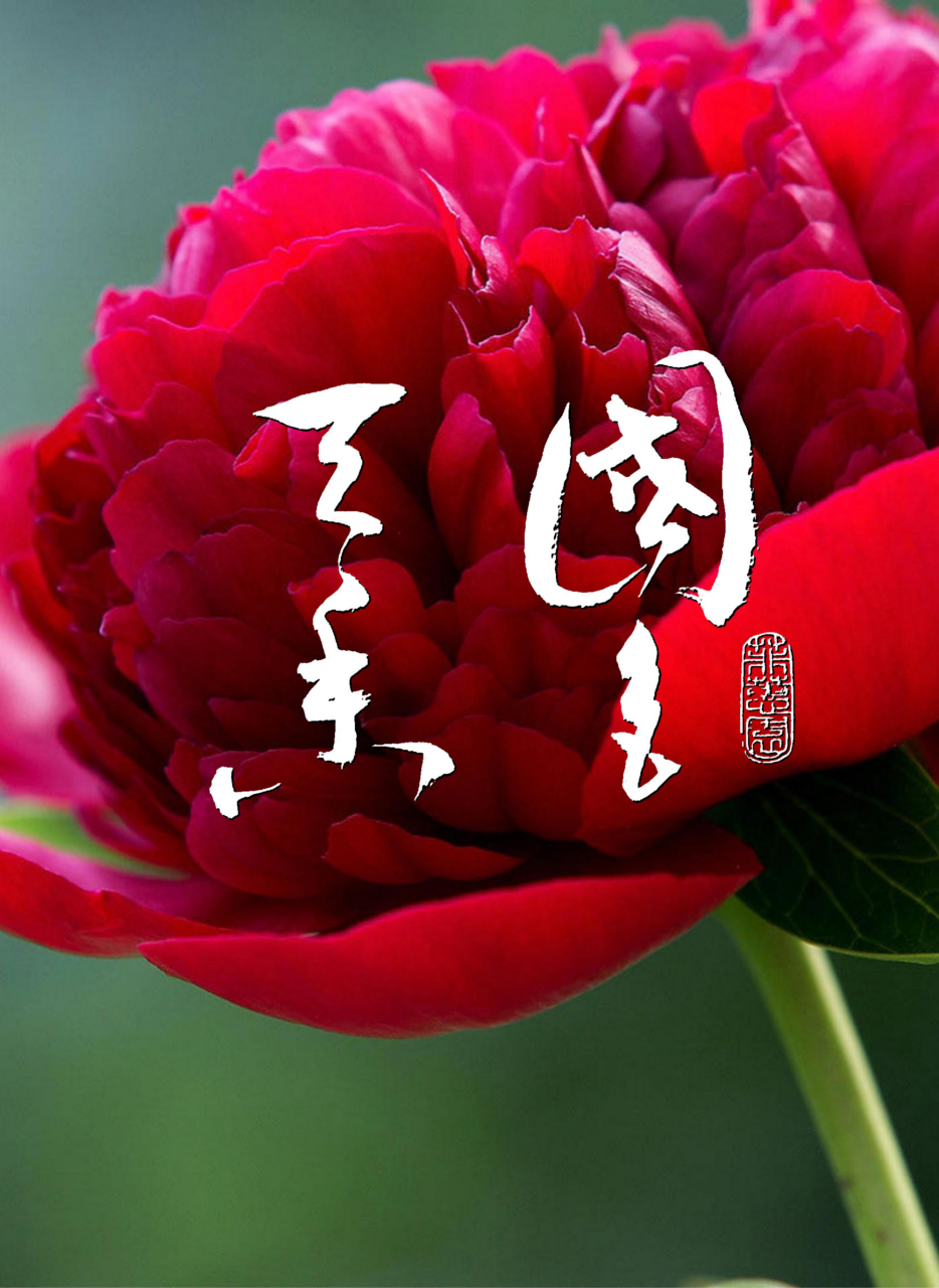 《牡丹诗》 李正封〔唐代〕 国色朝酣酒,天香夜染衣.