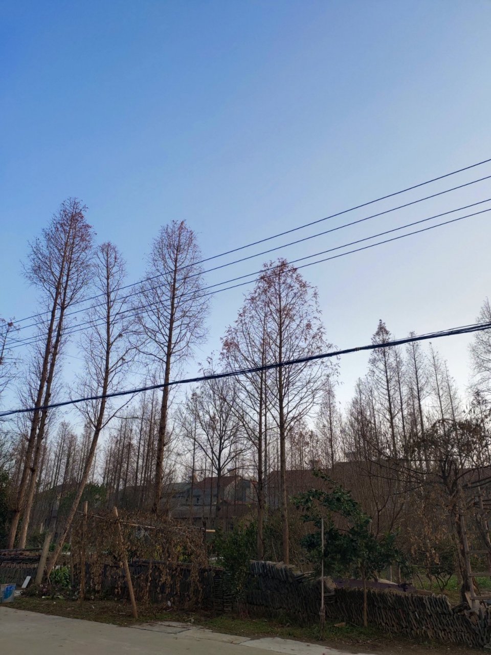 来领抖音推荐《九尾狐也有金主》黎浩帆白狸by流沙包txt完结(全文大