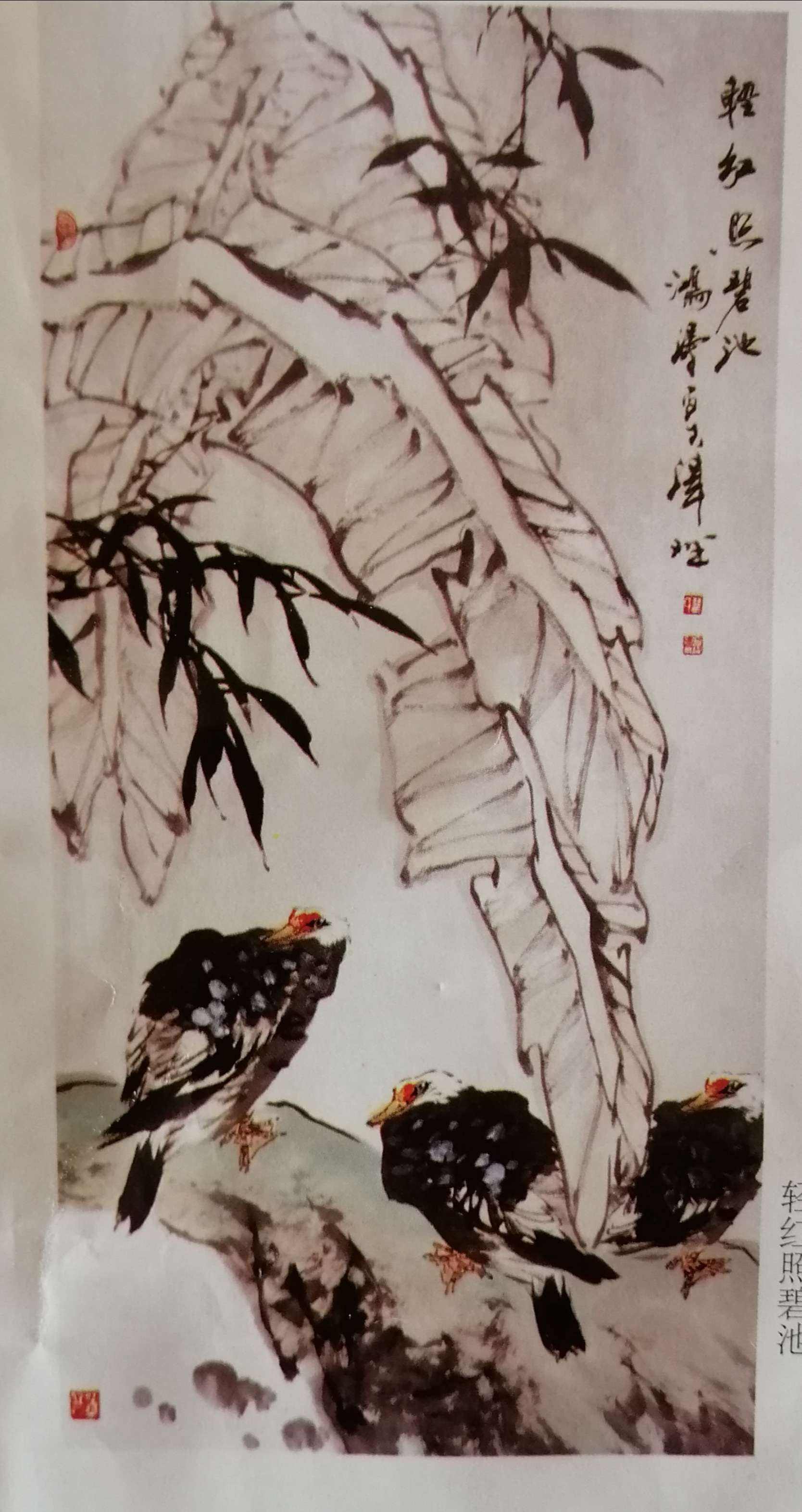吴门画派掌门人沈坤(沈石田)评画记2024年5月《水墨丹青·花鸟画作品