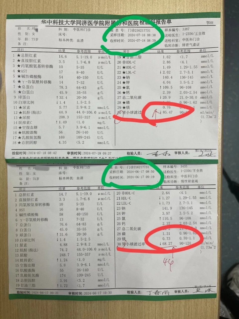 正常肾彩超报告图片图片