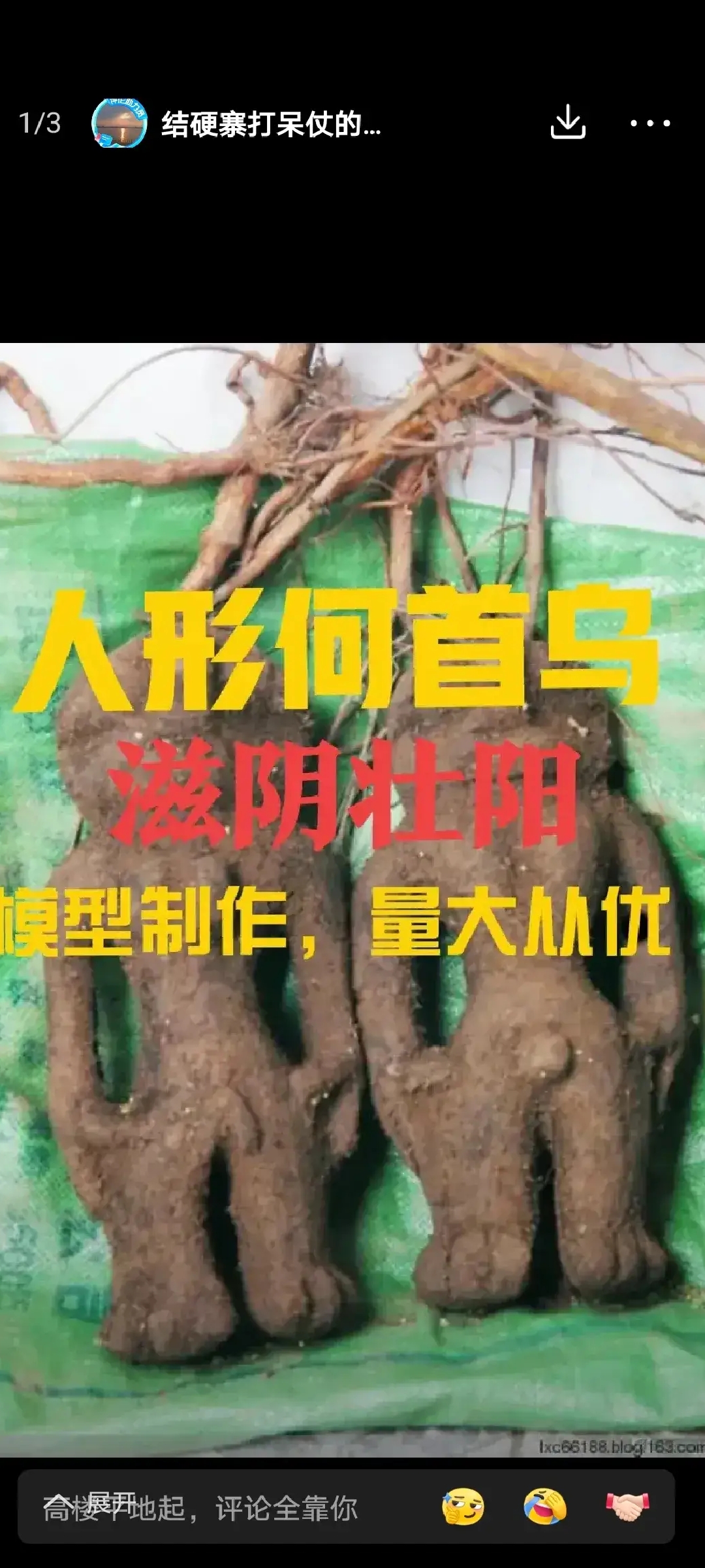 "千年人形何首乌",少侠坠落悬崖后,九生一死,偶然所得