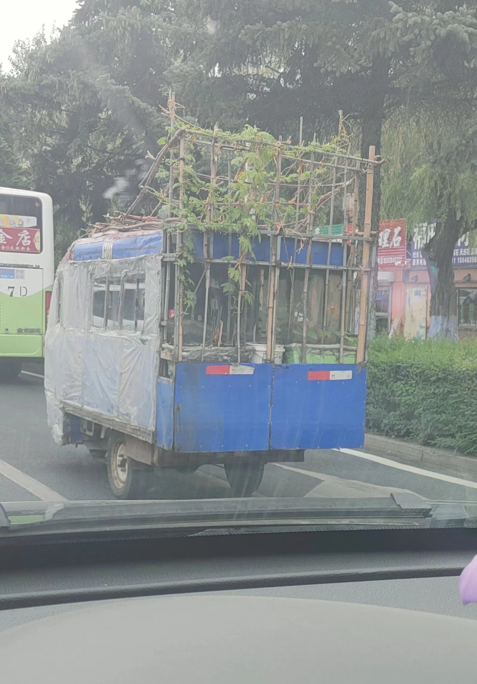 三掀水果蔬菜车棚图片