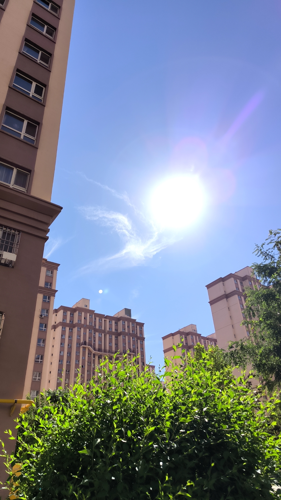 阳光洒满大地,每一缕都如此温暖