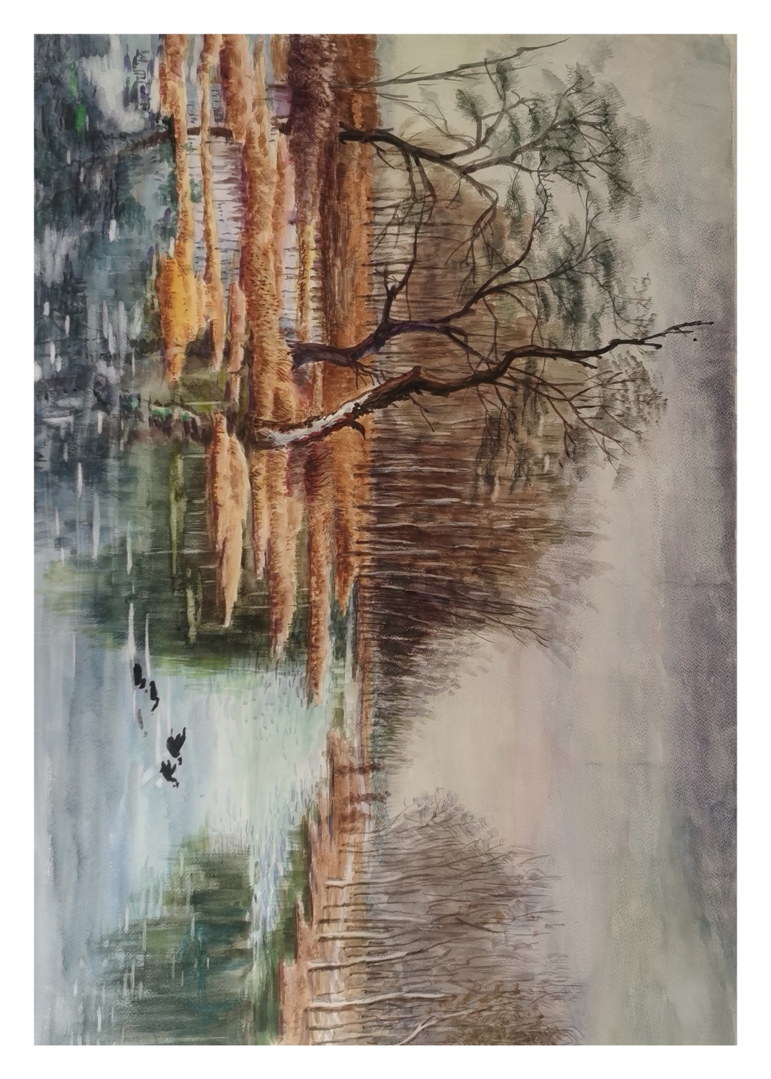 我的白洋淀水彩画