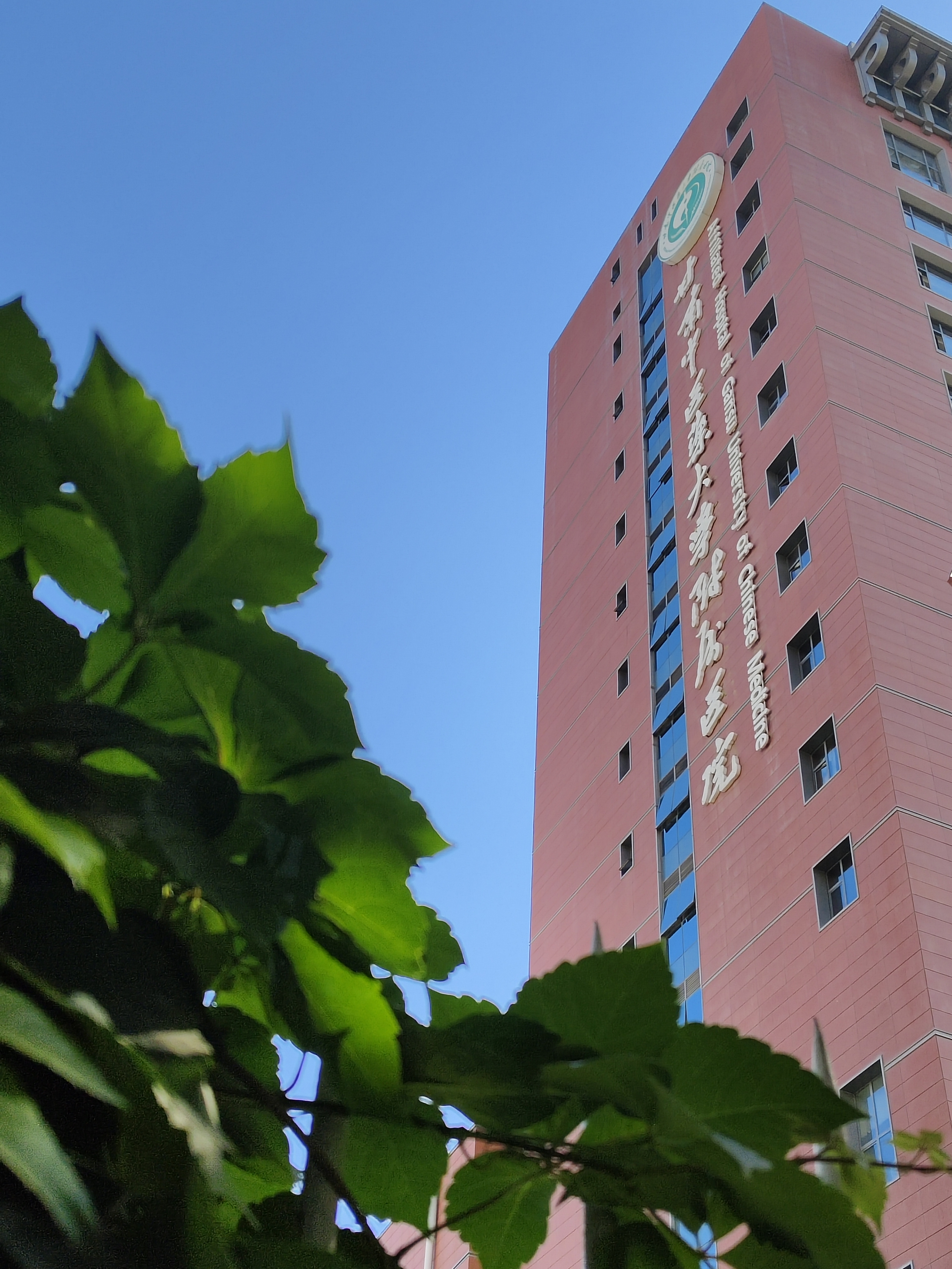 包含安贞医院陪诊代挂号检验结果及时解读，异常即刻处理的词条