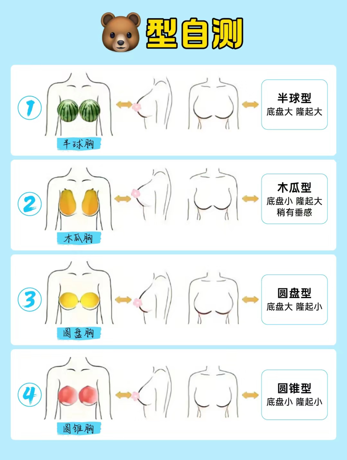 胸的类型图片和说明图片