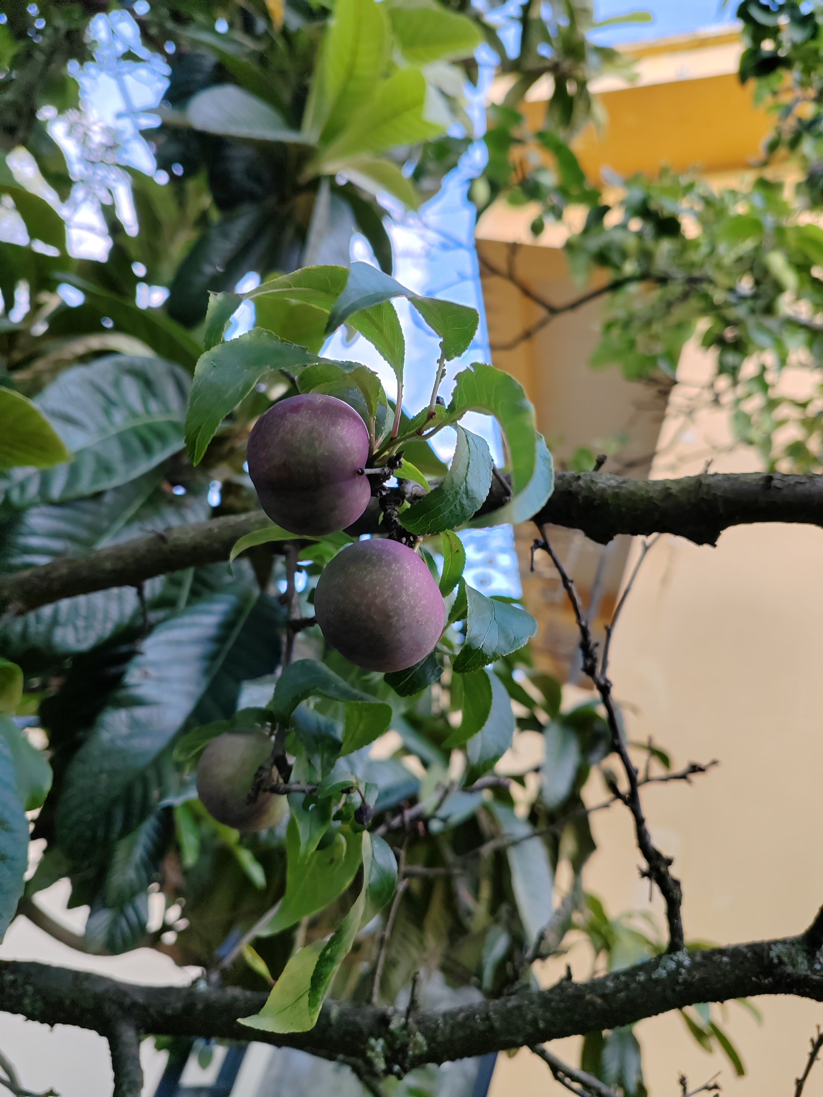 动态连更挑战# 三年,虽然说对于人生来说,并不算