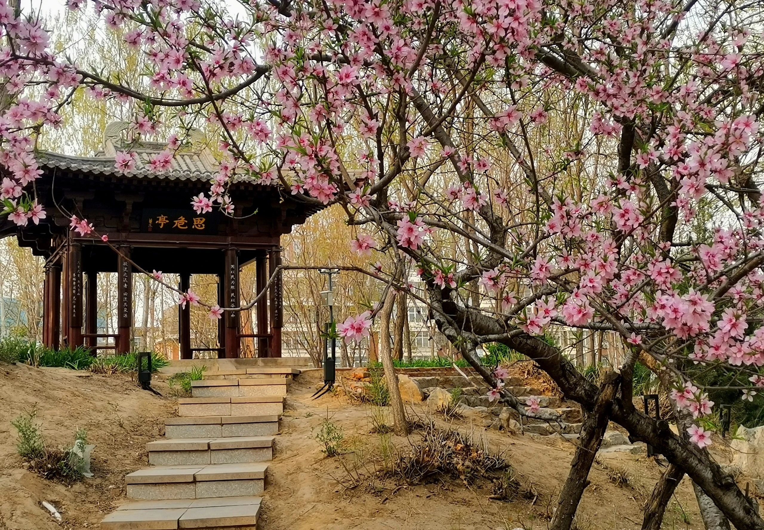 以前总觉得自己与众不同,后来才发现,不过是芸芸众生