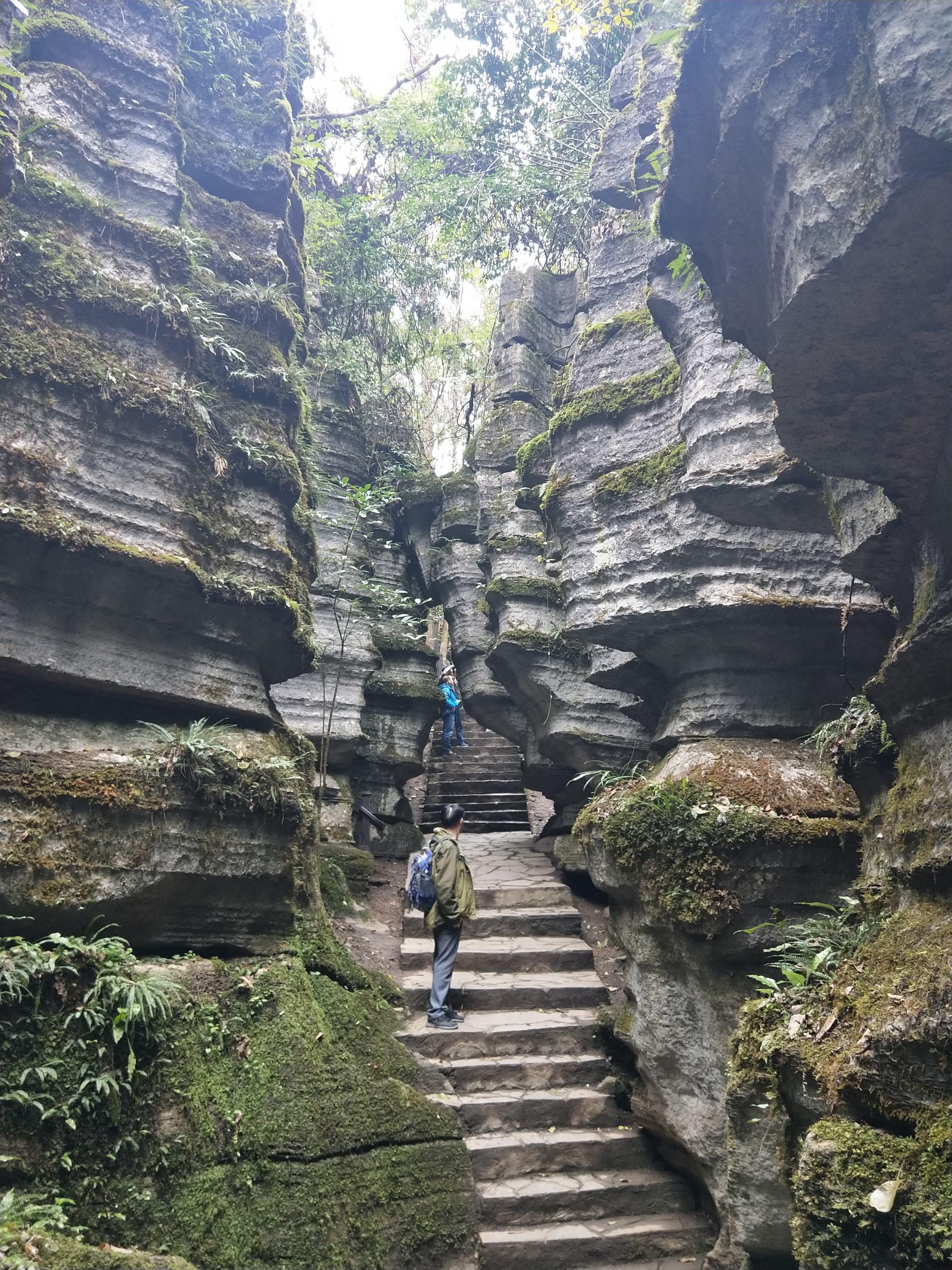 湖北恩施索菲亚石林:神秘大自然的绝美之作  亲爱的读者们,今天我要向