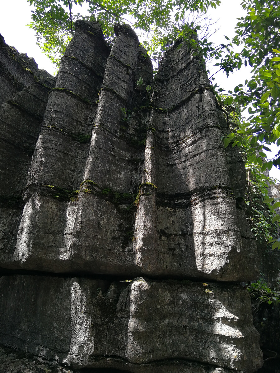 湖北恩施索菲亚石林:神秘大自然的绝美之作  亲爱的读者们,今天我要向