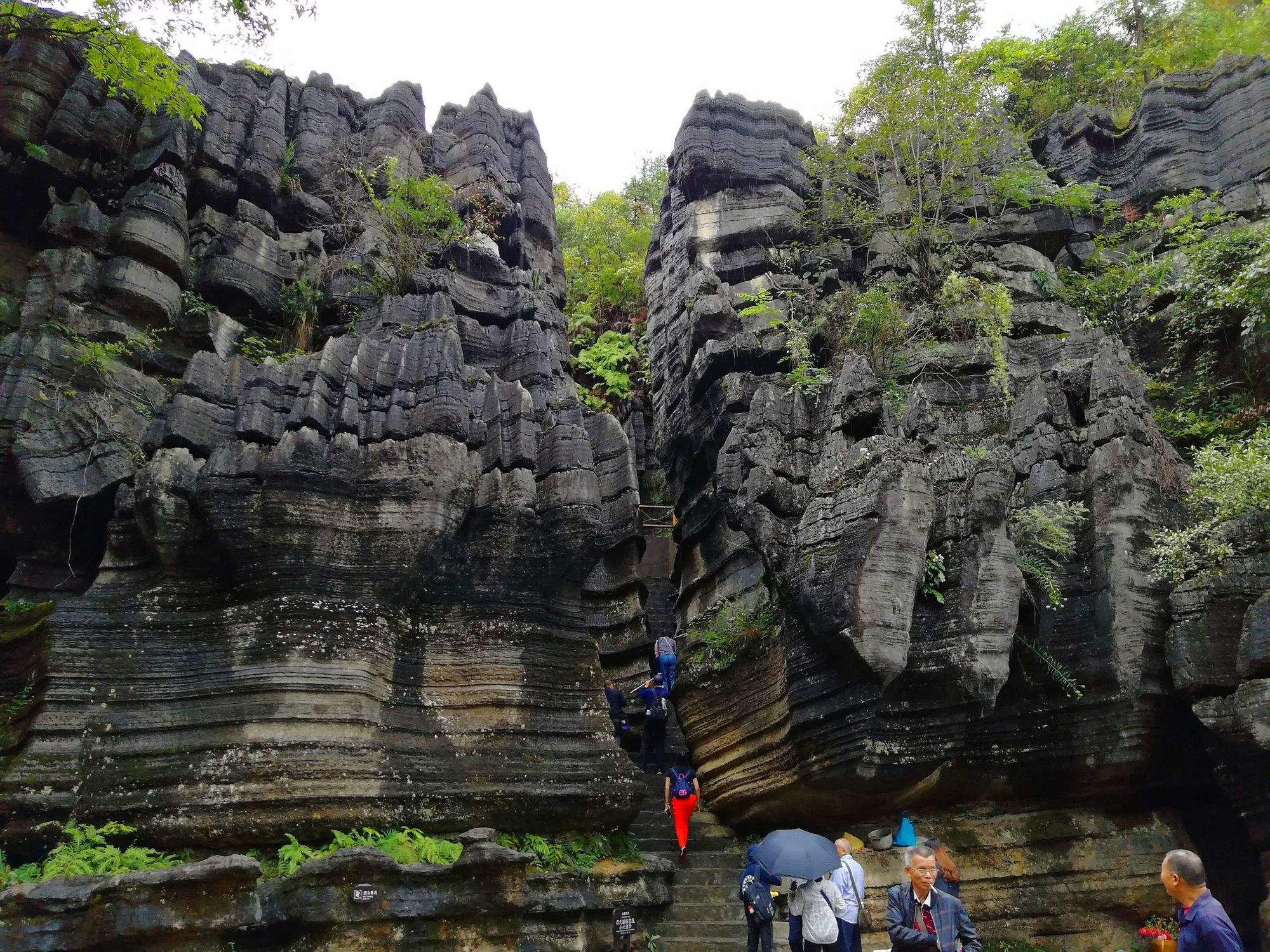 湖北恩施索菲亚石林:神秘大自然的绝美之作  亲爱的读者们,今天我要向