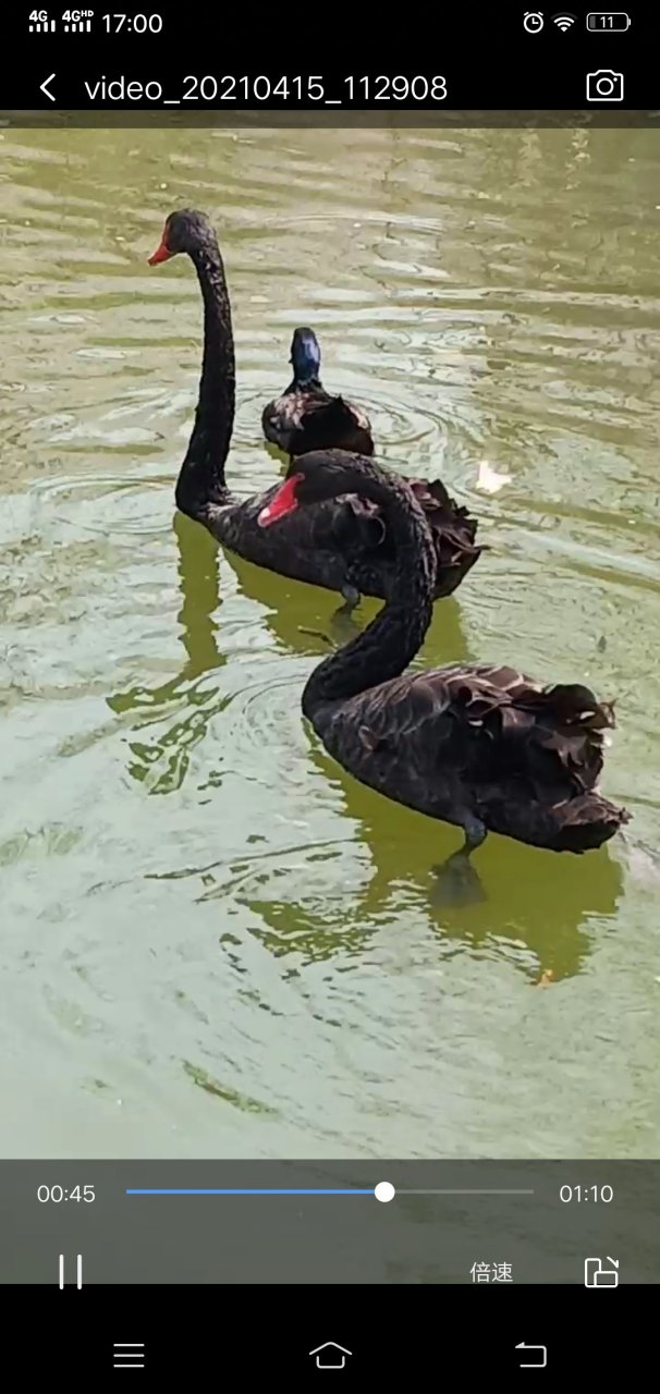 沈阳一打卡地《明清册》