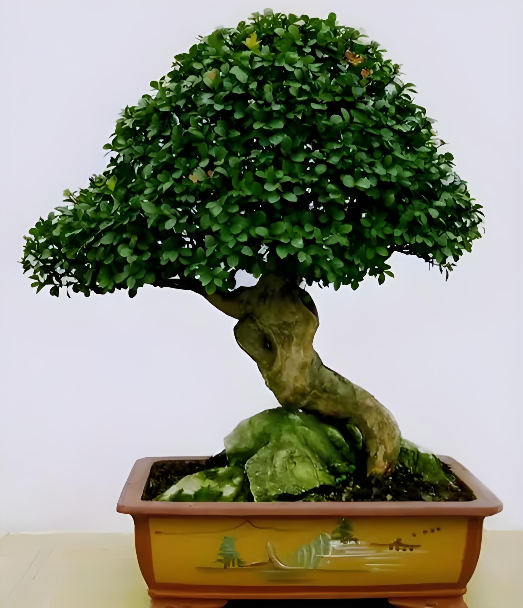 秋意浓,繁花成秋梦.落英缤纷间,时光轻叹