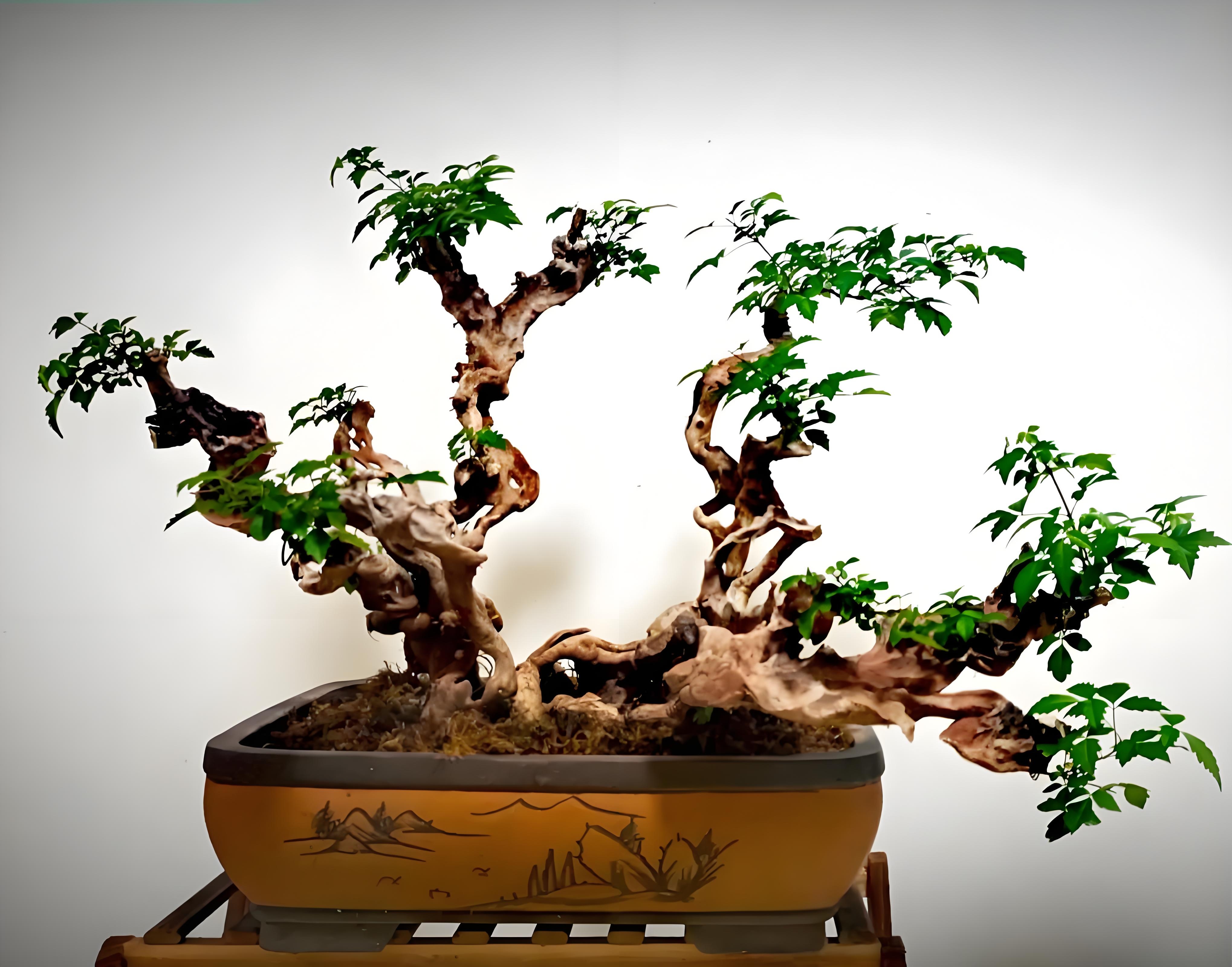 秋意浓,繁花成秋梦.落英缤纷间,时光轻叹