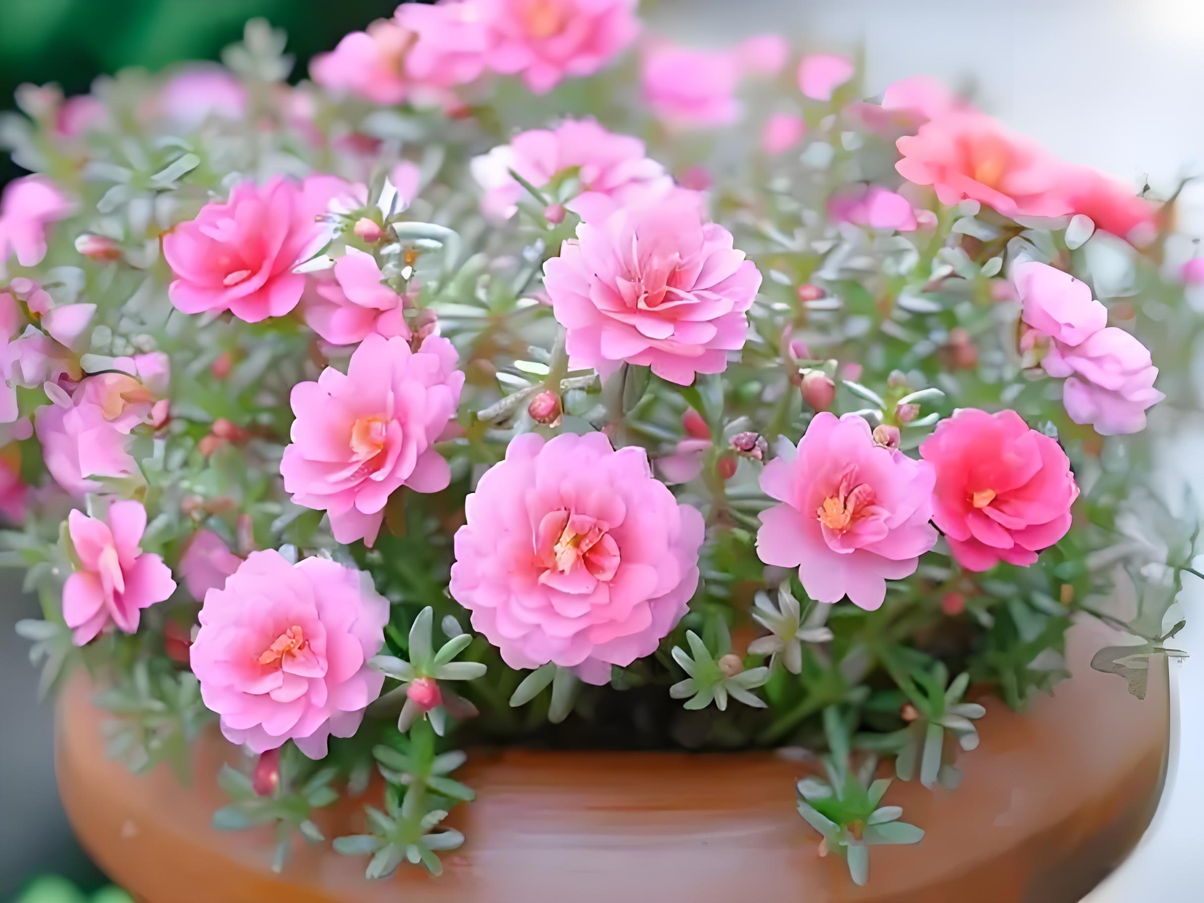 生活总有不期而遇的惊喜,今日份,就从这一抹鲜亮开始.