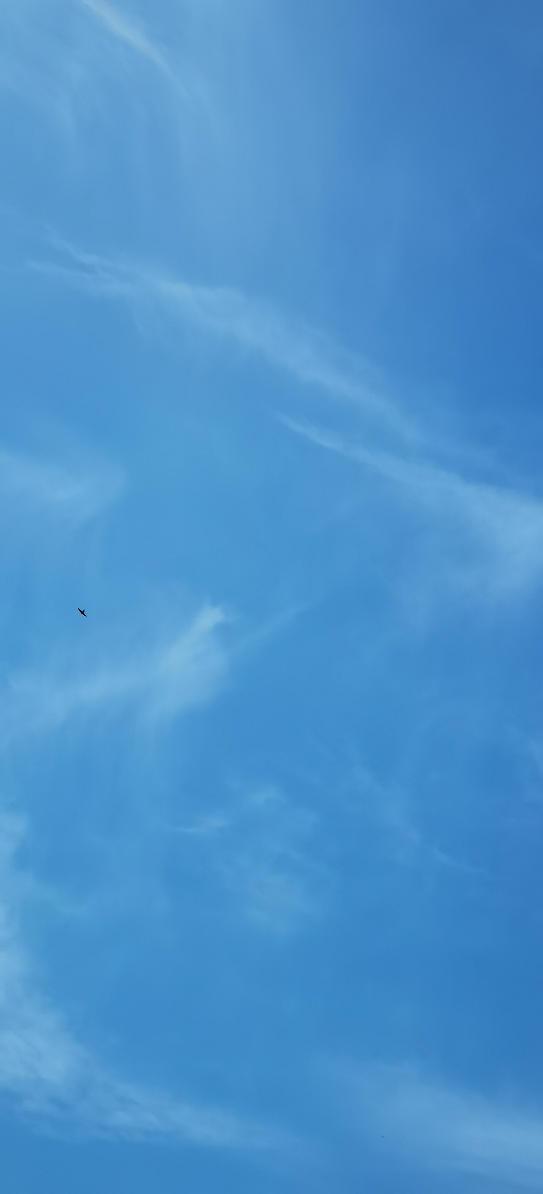 摄影爱好者联盟# 秋天的天空