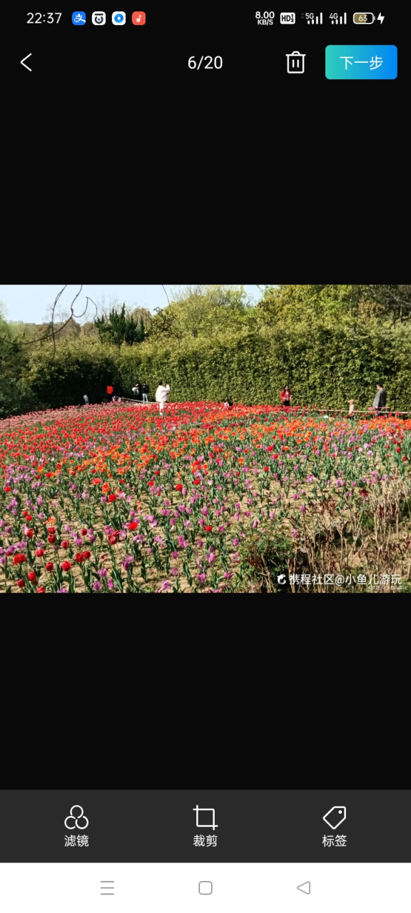 合肥四季花海在哪图片