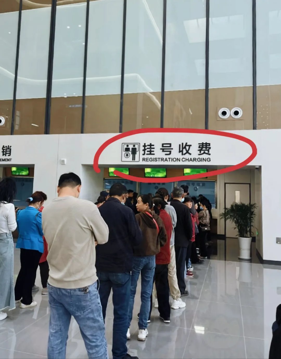 关于北京309医院、协助就诊号贩子挂号电话，挂不上的都找我的信息