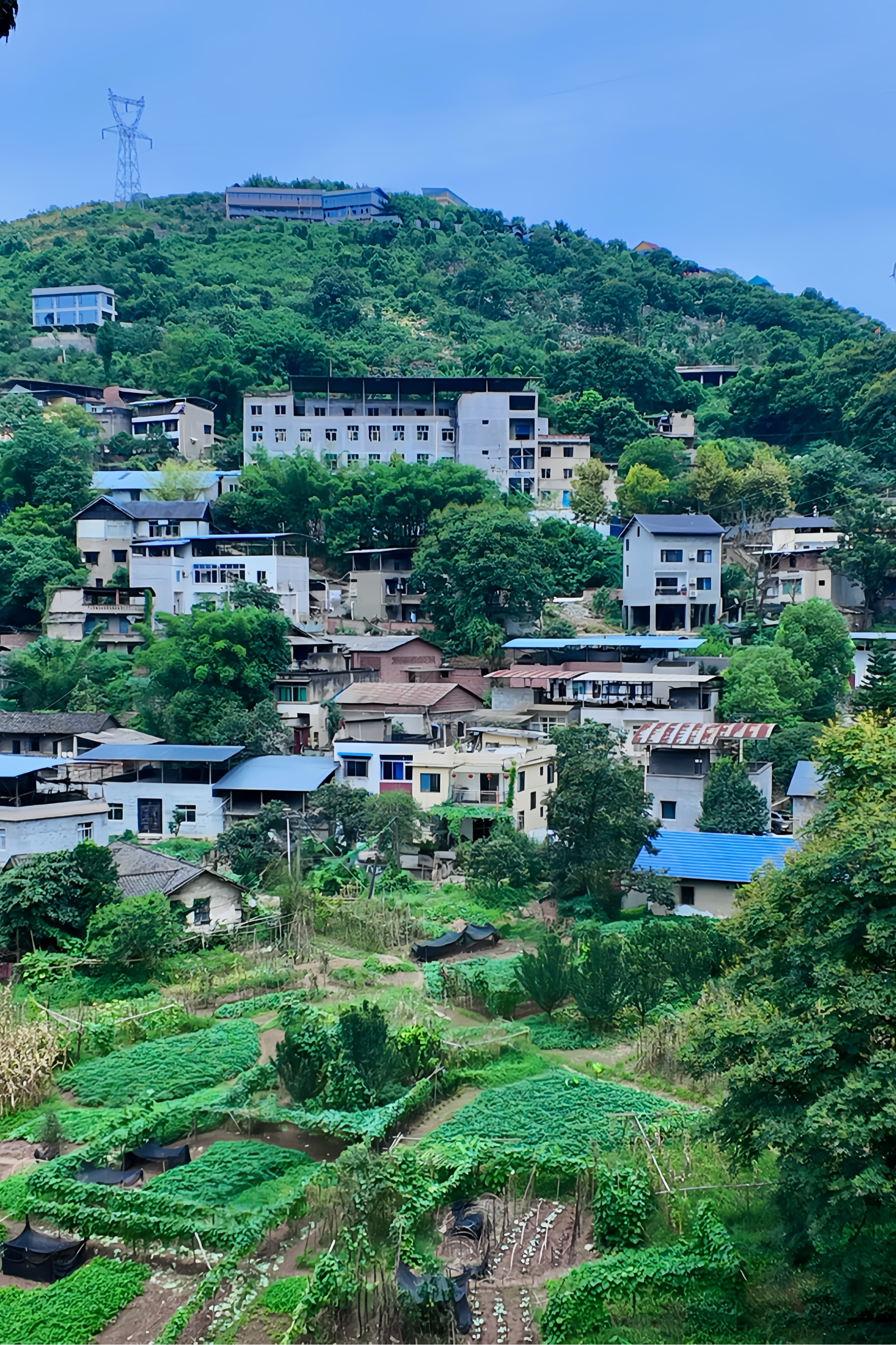 重庆市巴南区东温泉镇图片