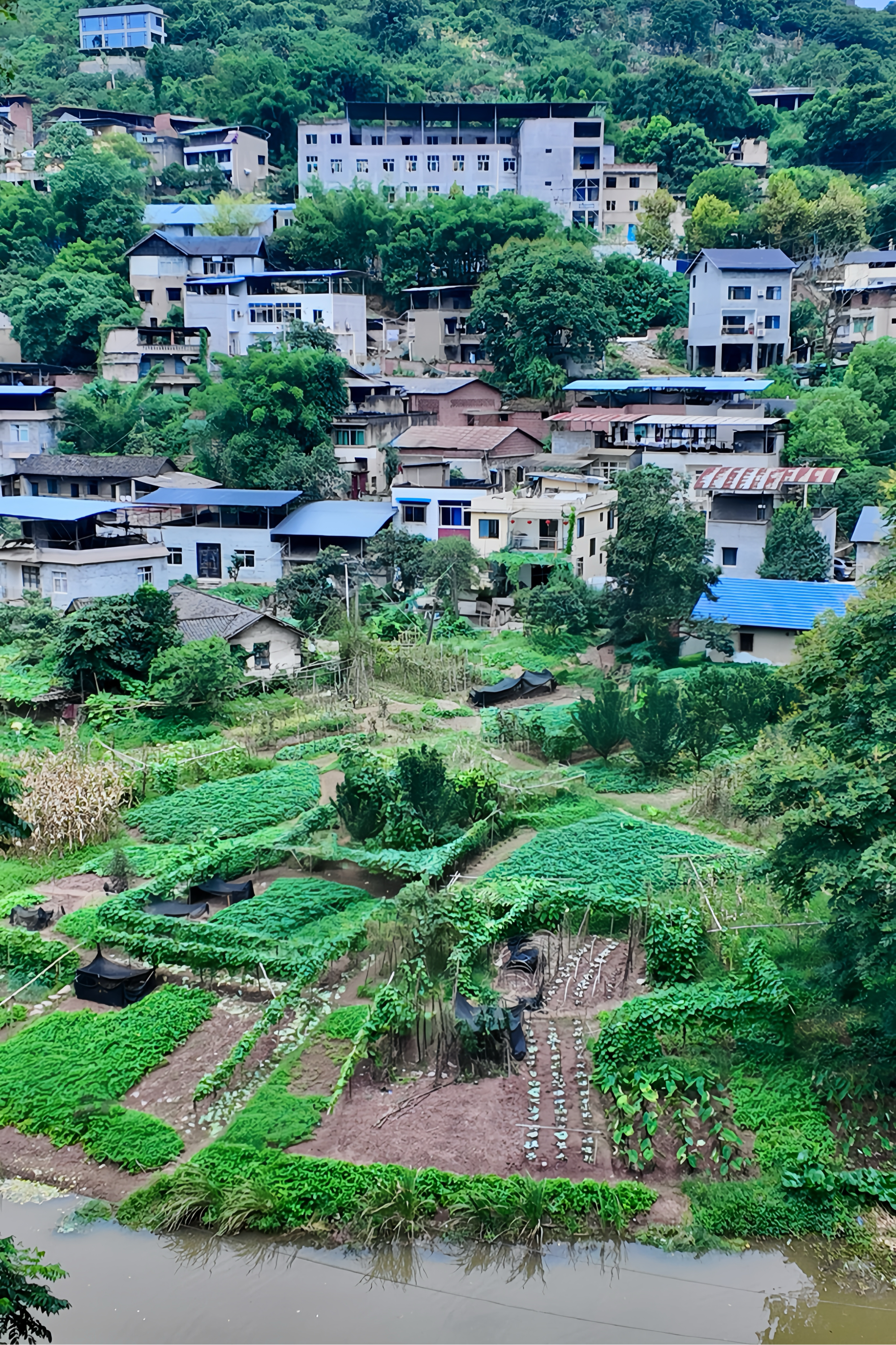 巴南区大来山风景区图片