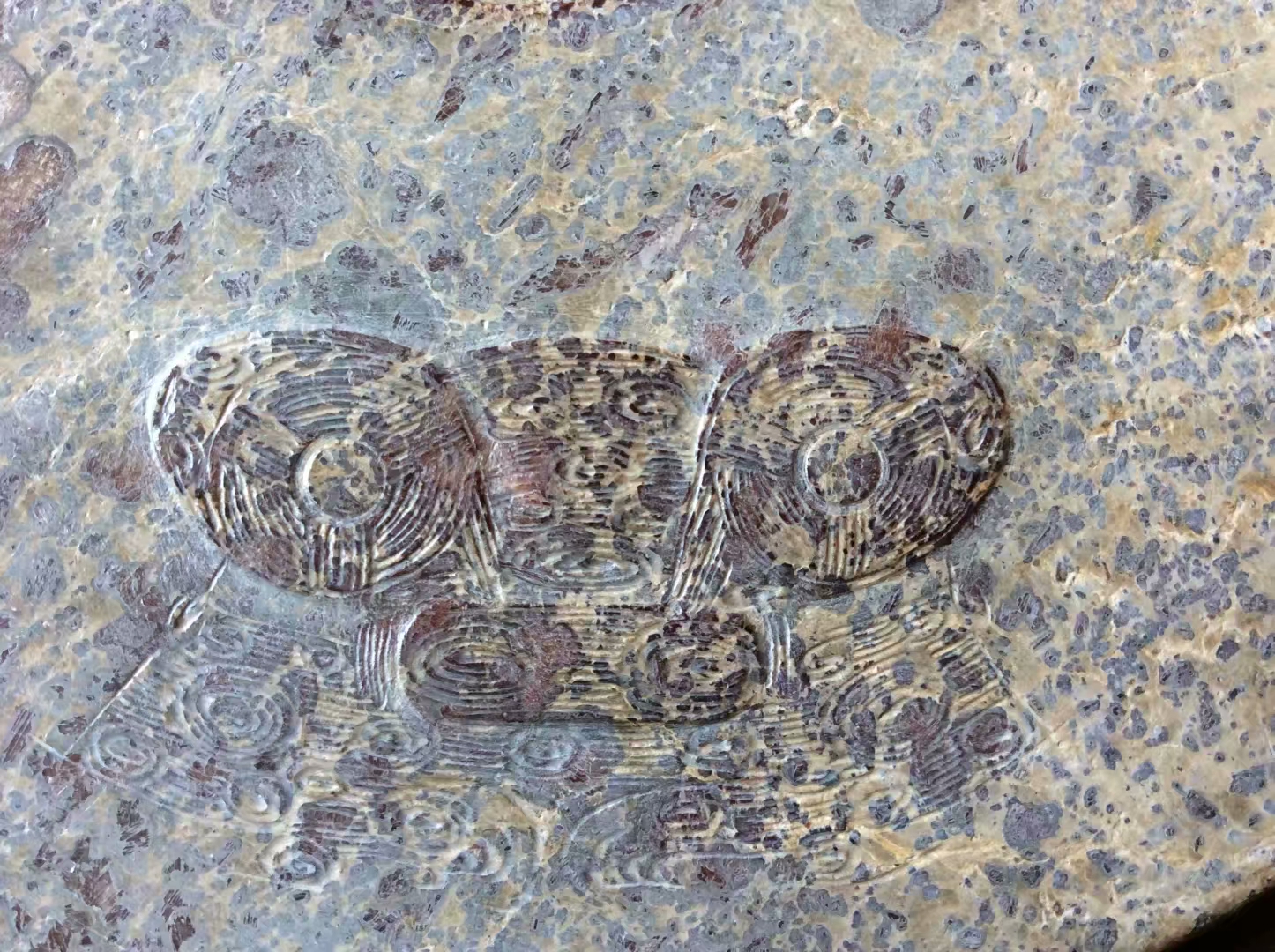 良渚古国兽面纹大玉璧,工艺精湛,保存完美,乃国之瑰宝!直径:17.