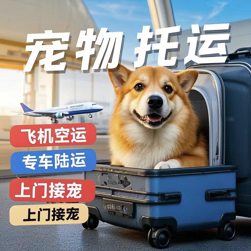 包含佑安医院代诊挂号服务出入院手续一站式办理，简单高效的词条