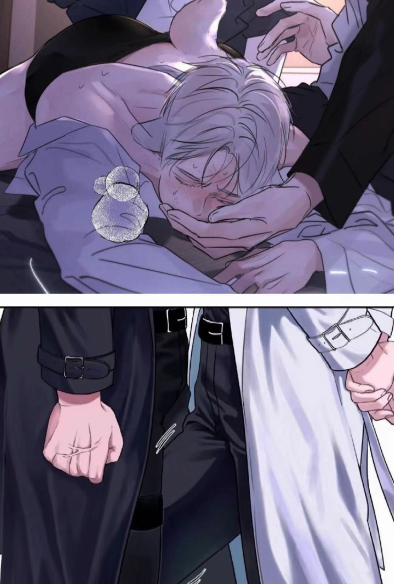 我是一只九尾狐,是摄政王底下最锋利的一把刀