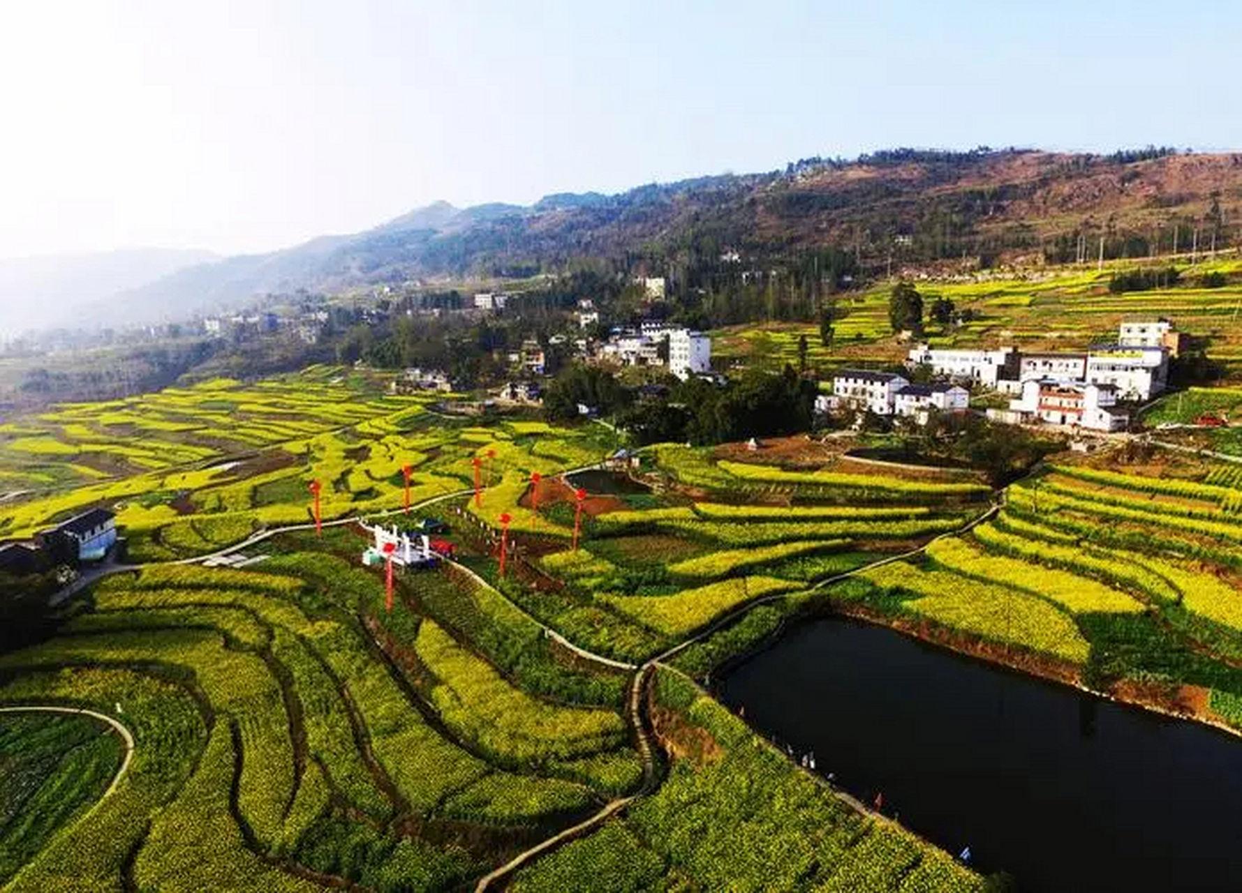 潼南油菜花景区,坐落于潼南区的崇盒镇,与琼江相邻.