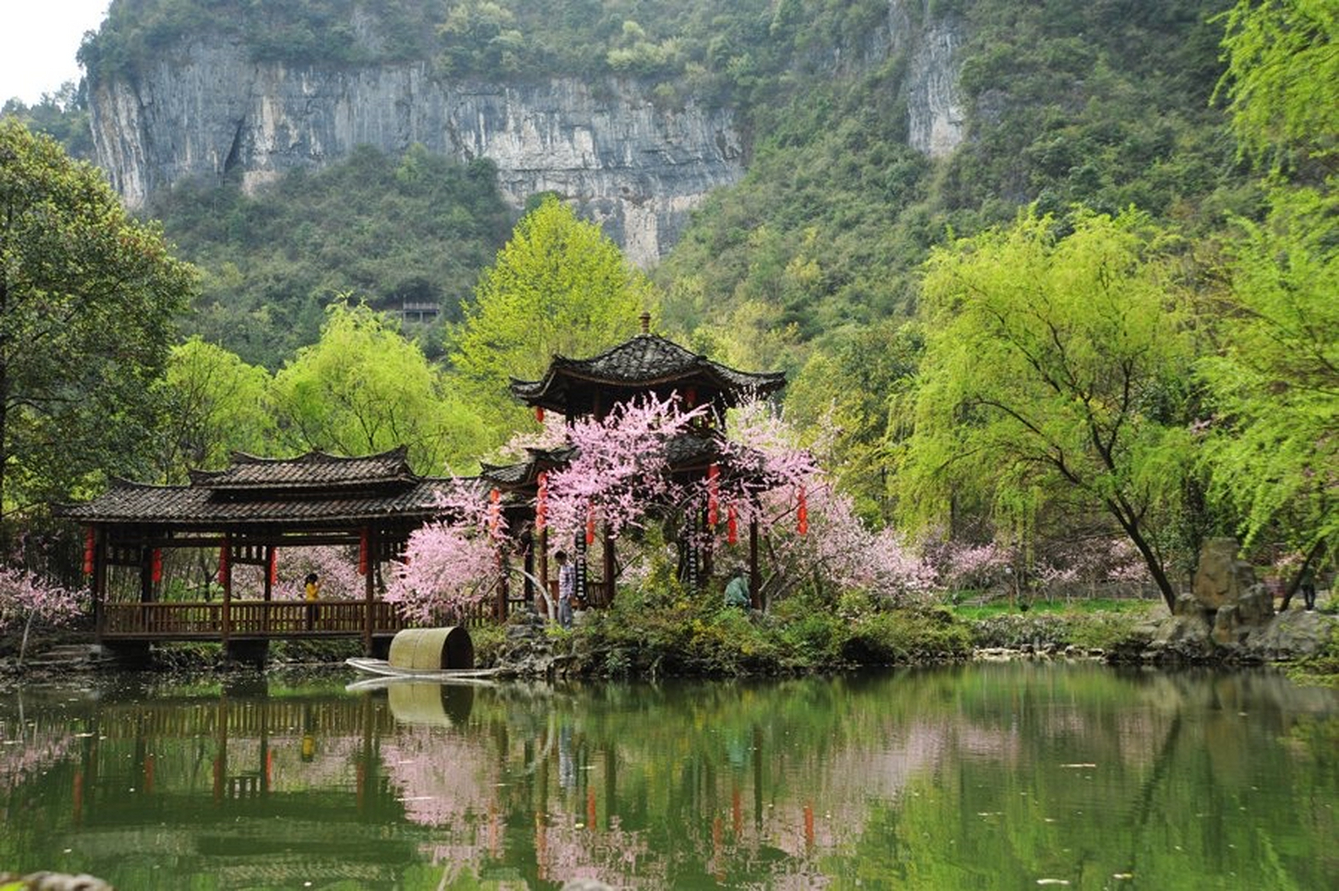 永芳桃花谷图片