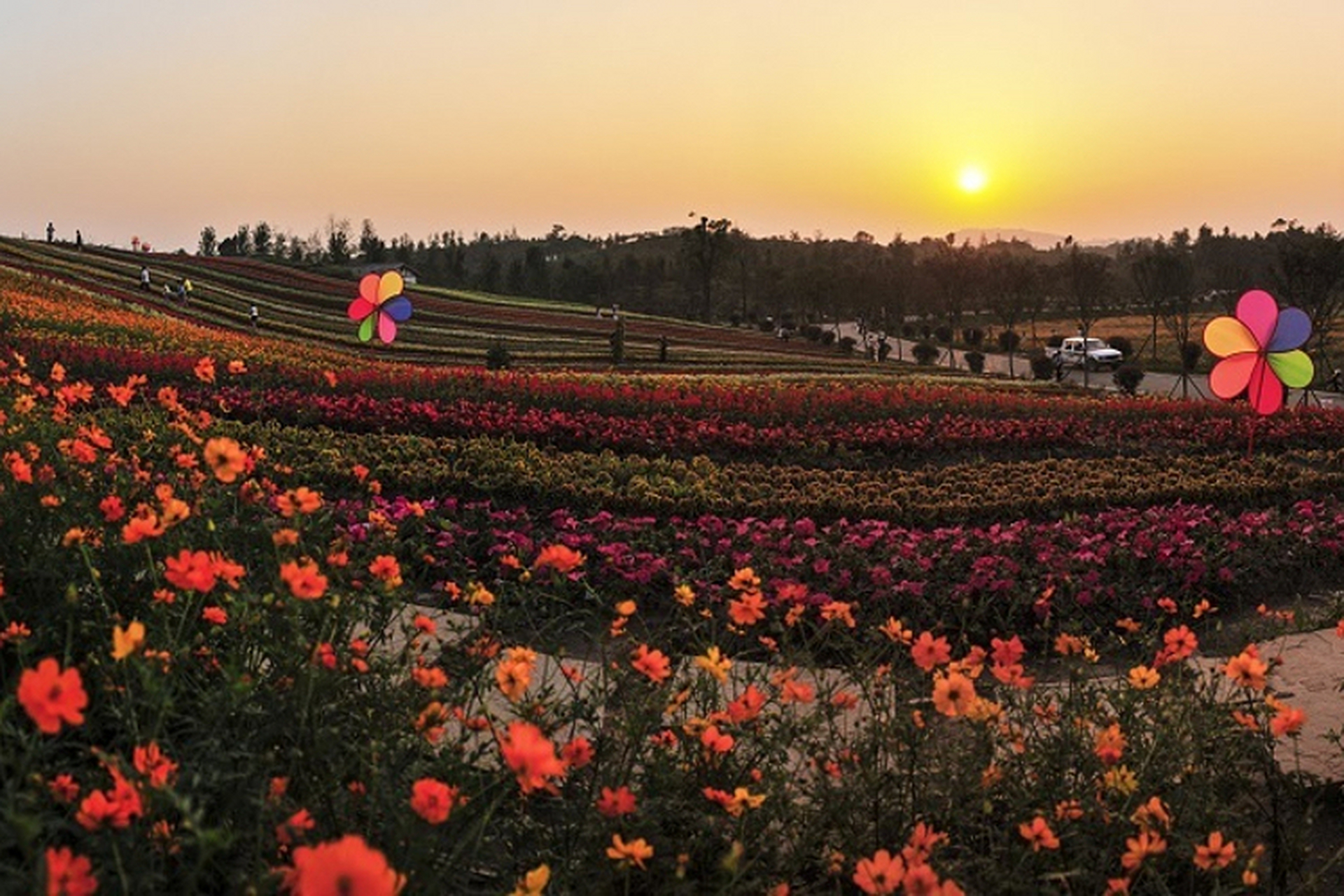 花满山城# #一年赏花时# 黄桷门奇彩梦园坐落于重庆市铜梁区,是一座