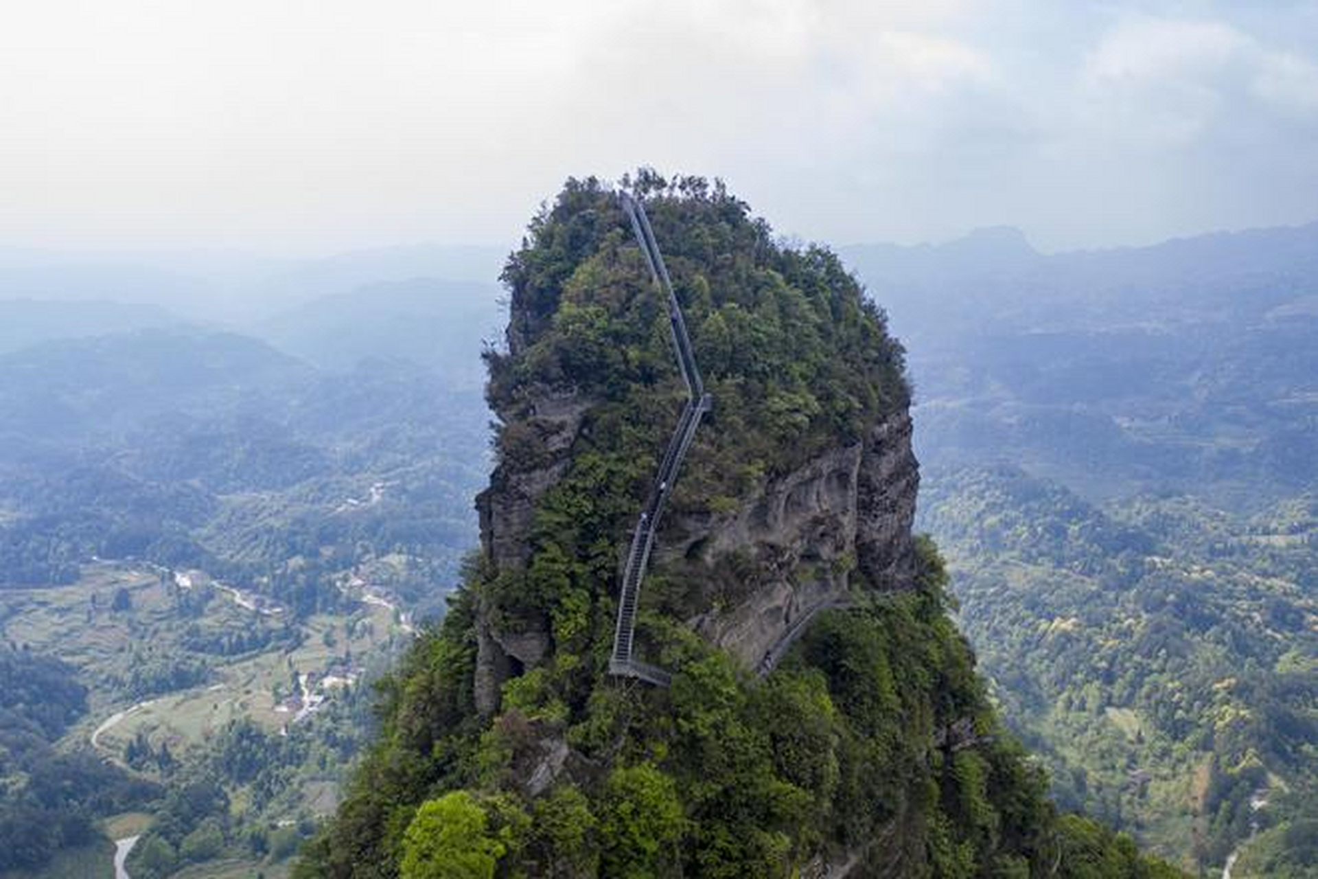 花满山城# #一年赏花时# 金佛山国家风景名胜区,位于重庆市南川区