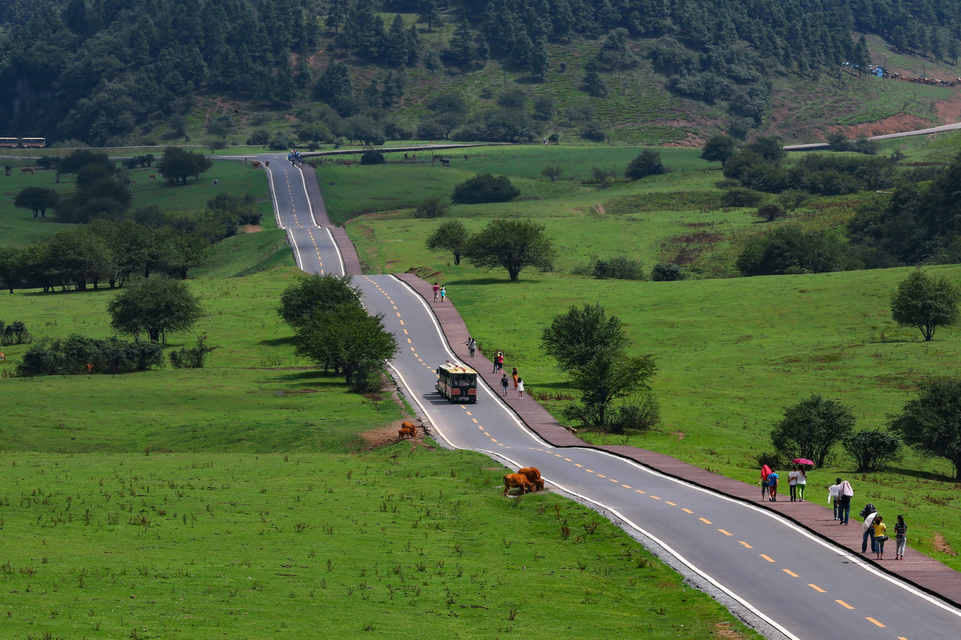 重庆市武隆区的仙女山,拥有33万亩的森林和10万亩的天然草原,以其江南