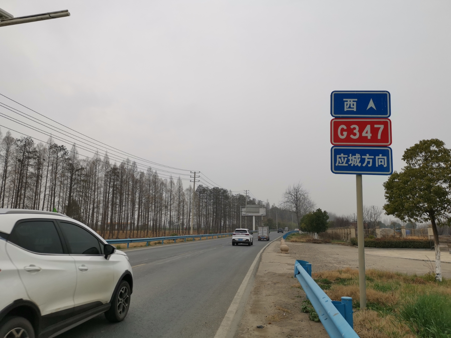 骑行武汉—孝感—应城,在g347国道上自由驰骋,路边油菜花灿烂,来到