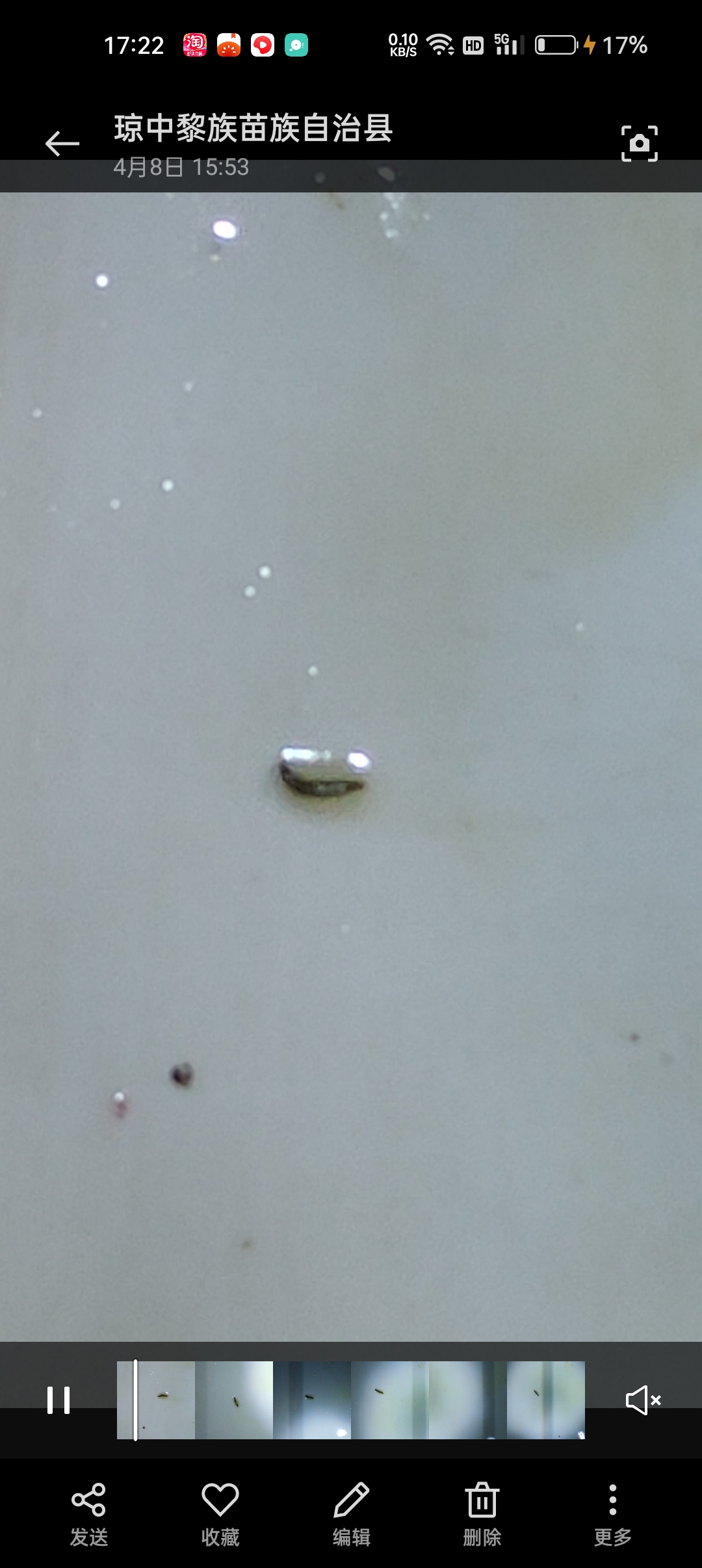 拉大便有这种虫子是什么虫子?