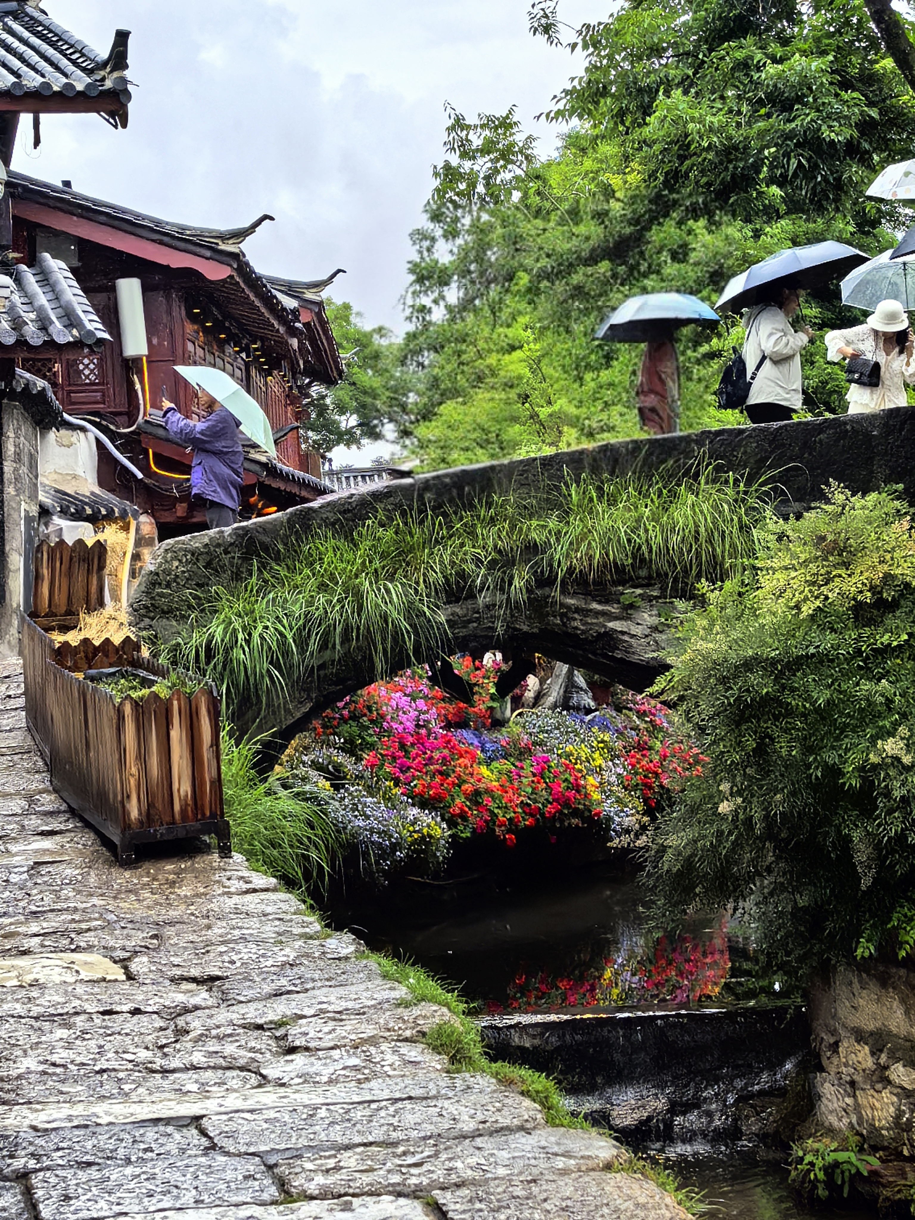 大理丽江天气预报