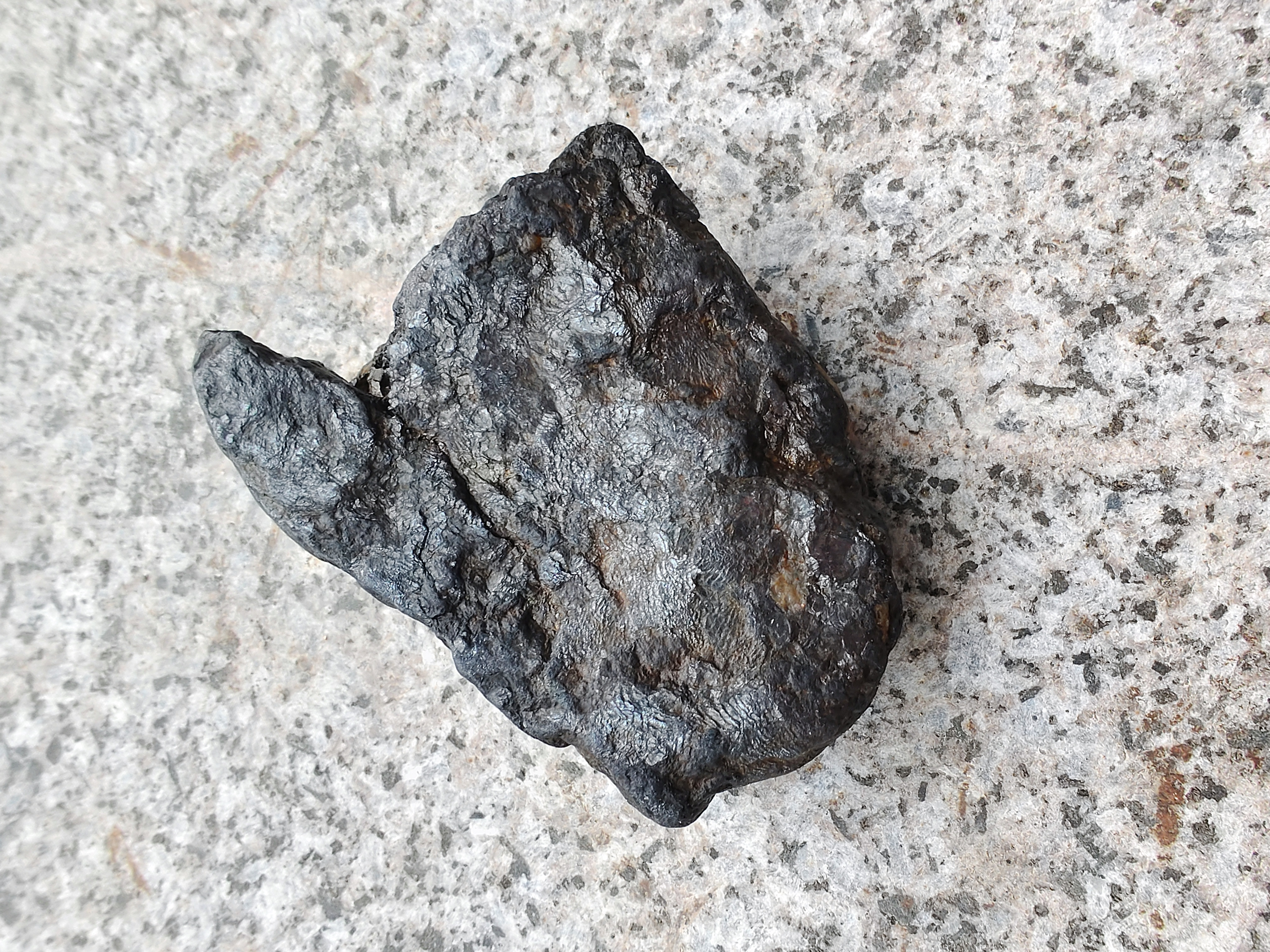 小河边捡的,黑黑的,密度比平常石头大 #捡石头#