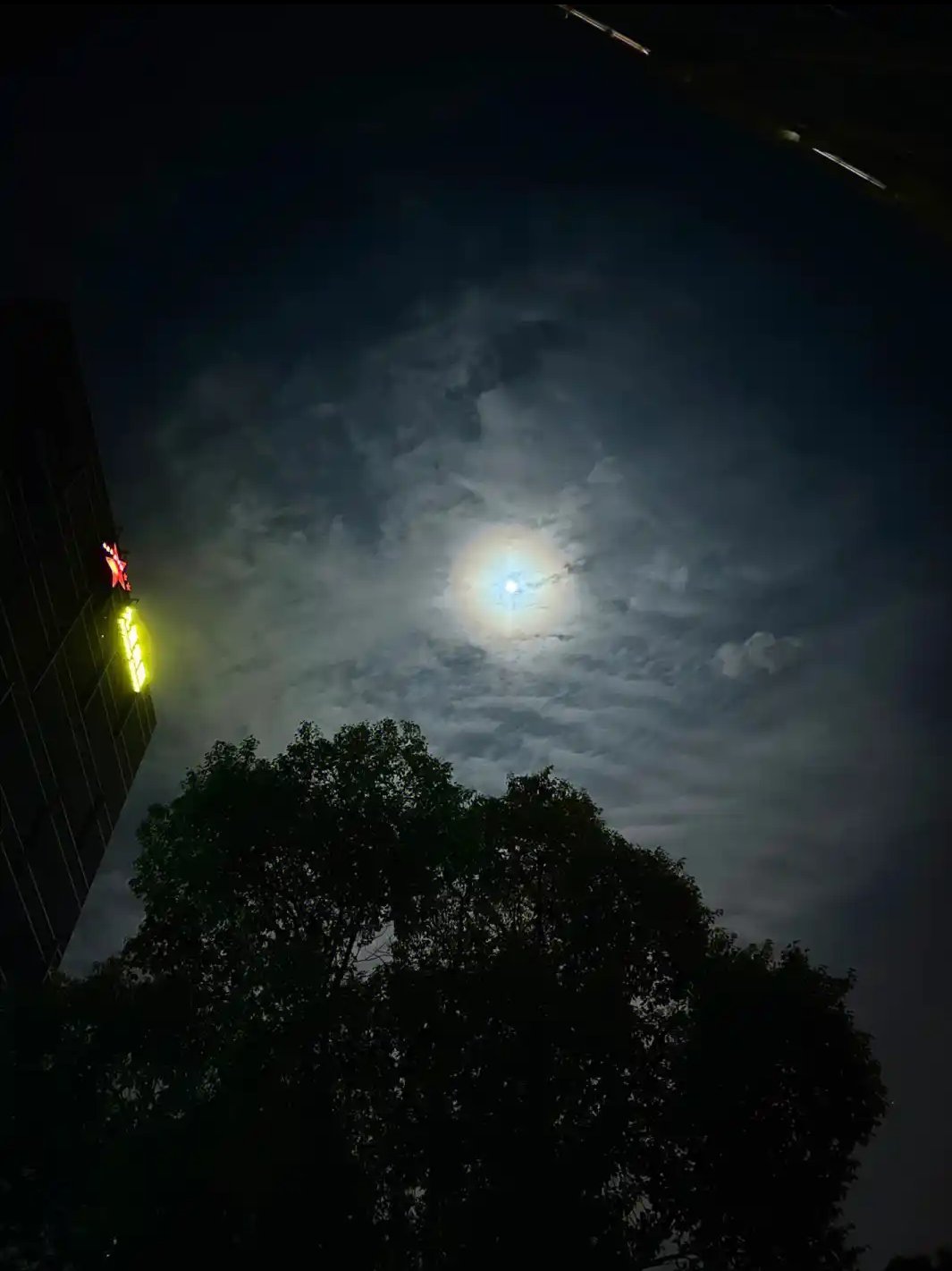 干啥干啥,可是每次刷起小视频的时候就停不下来了,总以为这一夜很漫长