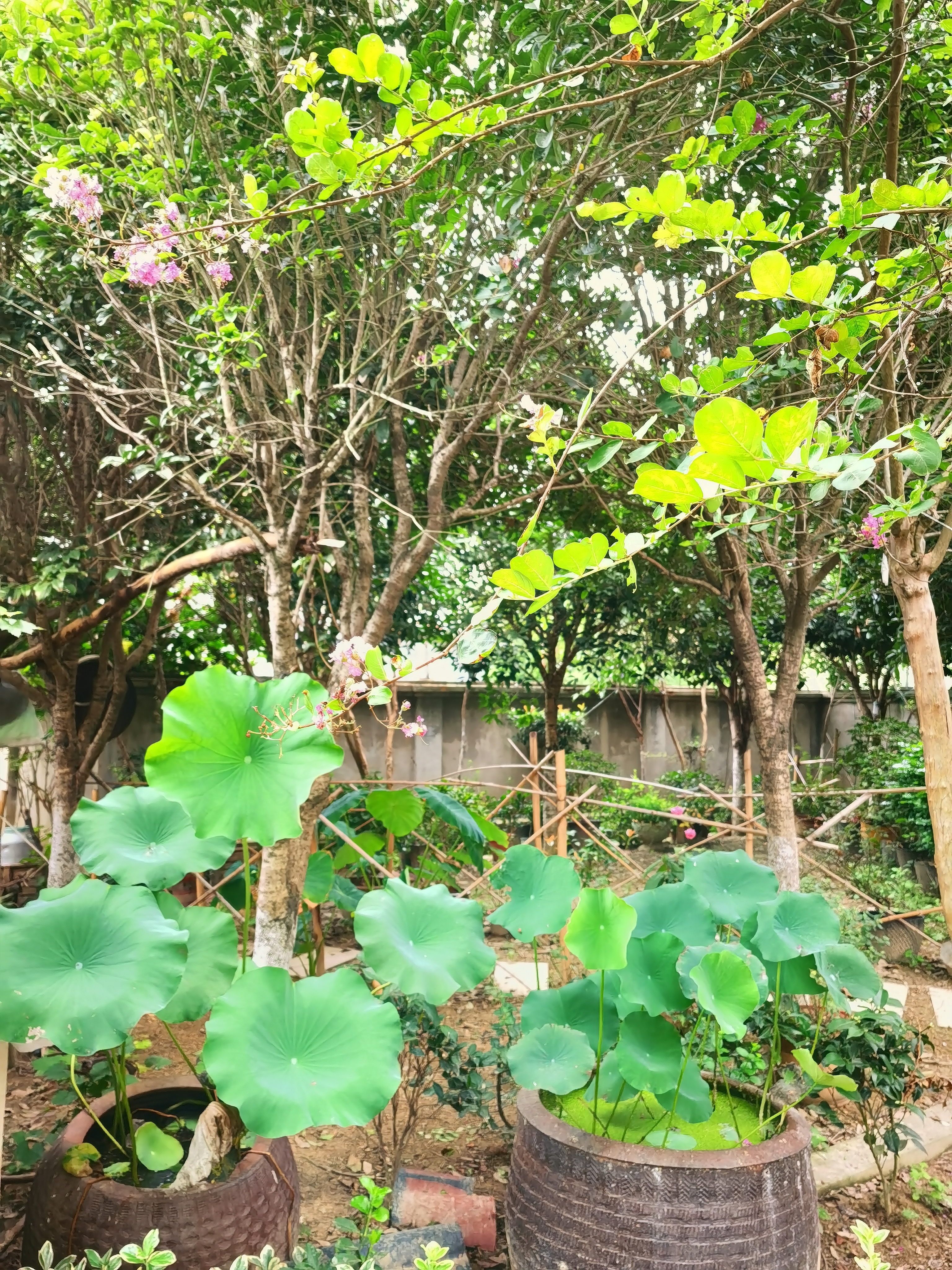 夏季投资(夏季投资项目)