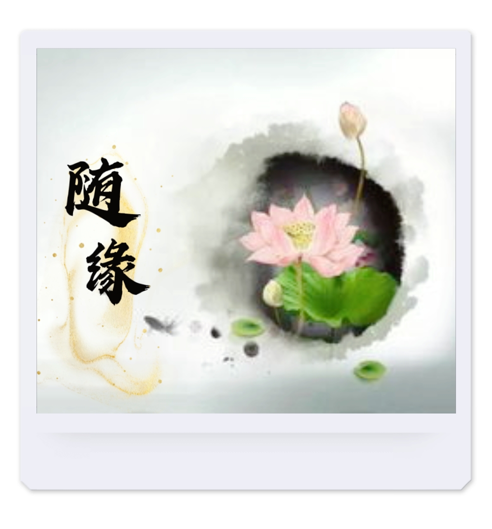 读书分享  "随缘不变"和"不变随缘"应该怎样理解呢?