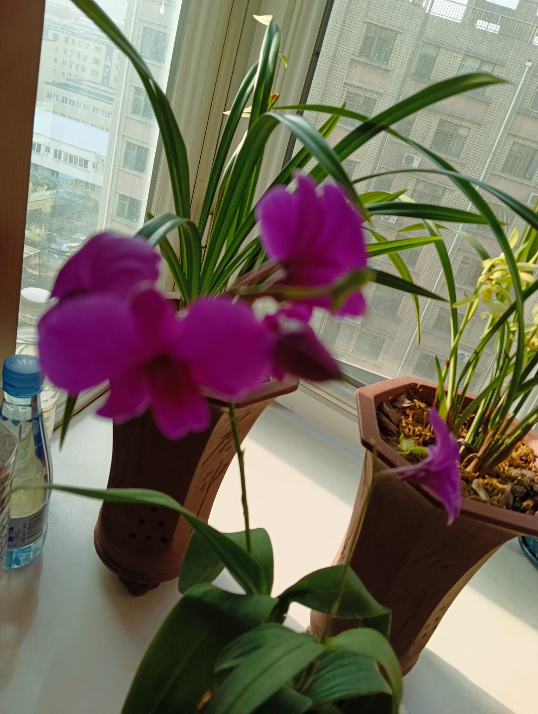 度娘我来了,带着记意带着鲜花加入您幸福的大家庭,开启爱你航帆[心]