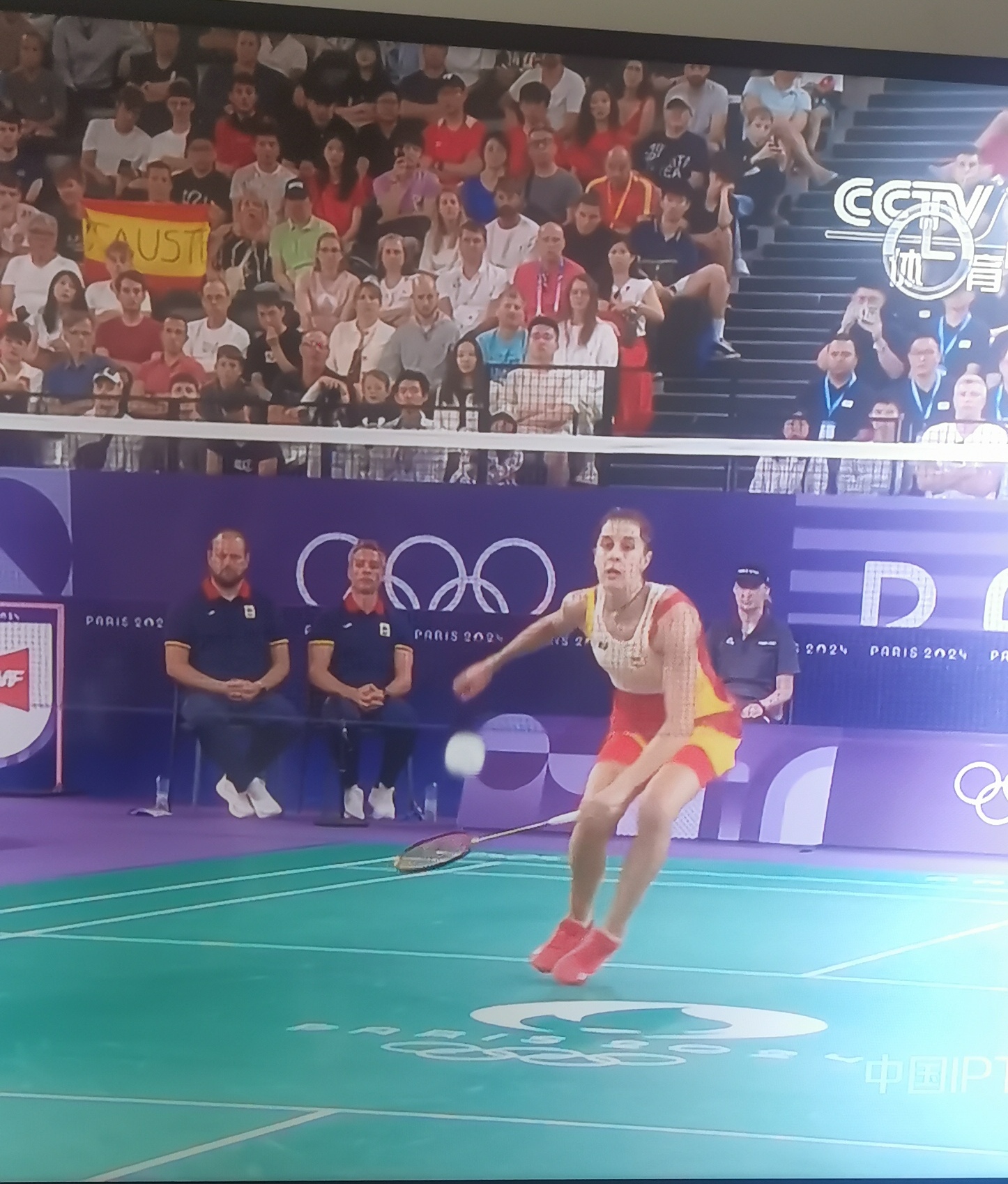 在羽毛球女单半决赛中,西班牙名将马琳在第二局比赛中因膝盖受伤阎刎