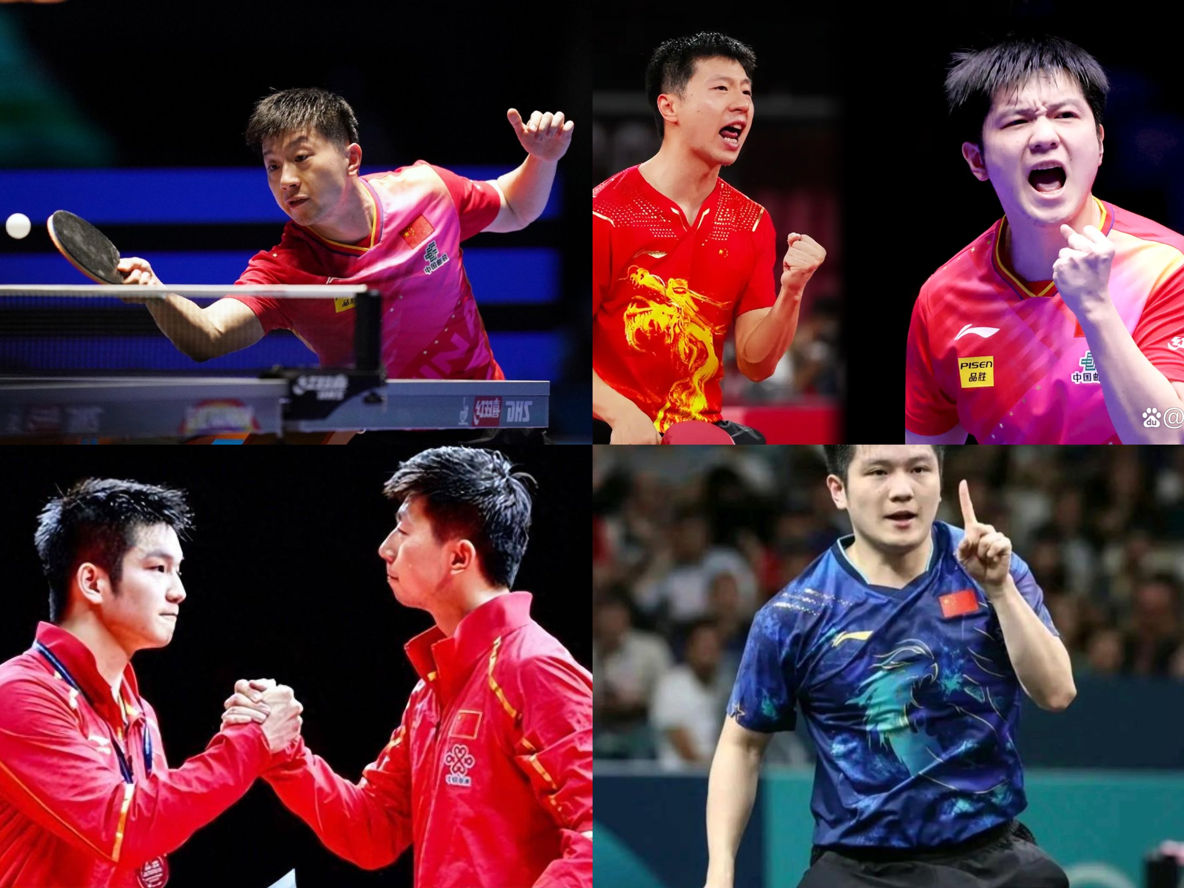 马龙樊振 东巅峰对 决引爆乒相关图片3