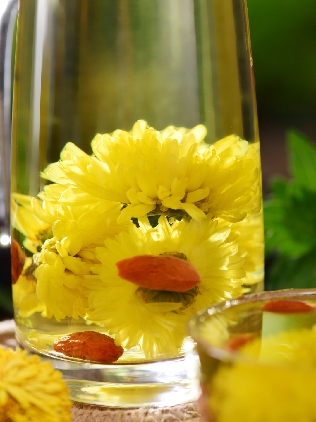 蜂蜜水菊花的作用与功效是什么(蜂蜜水菊花的作用与功效是什么呢)