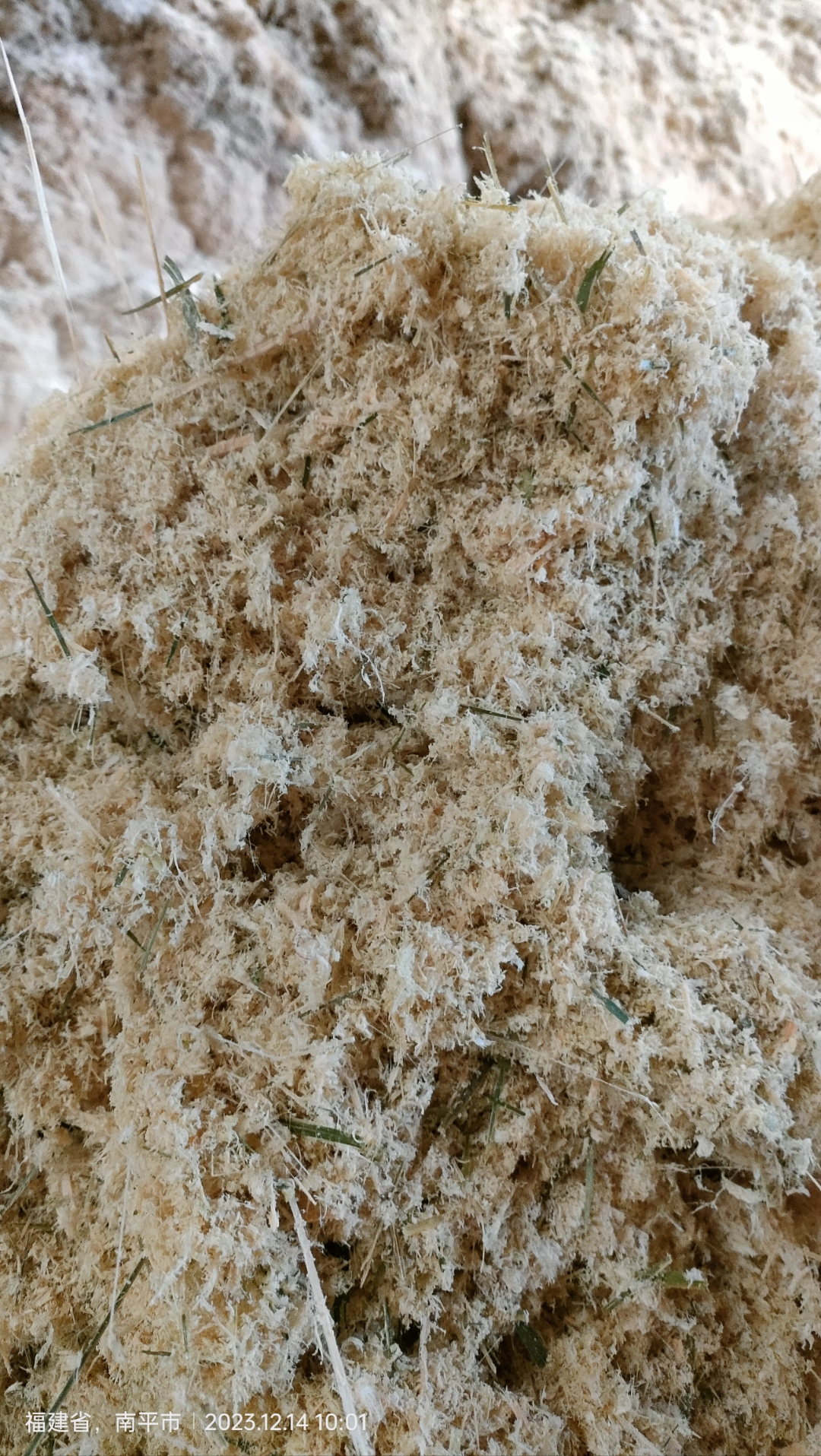 木粉机生产厂家,竹屑磨粉机,120目竹粉吨袋竹装车发货,福建邵武八台