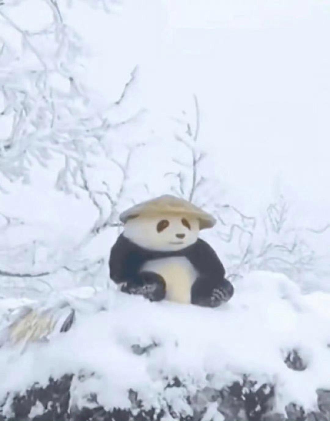 大雪过后的山顶一片雪白,一只可爱的熊猫戴着斗笠,静静地坐在那里